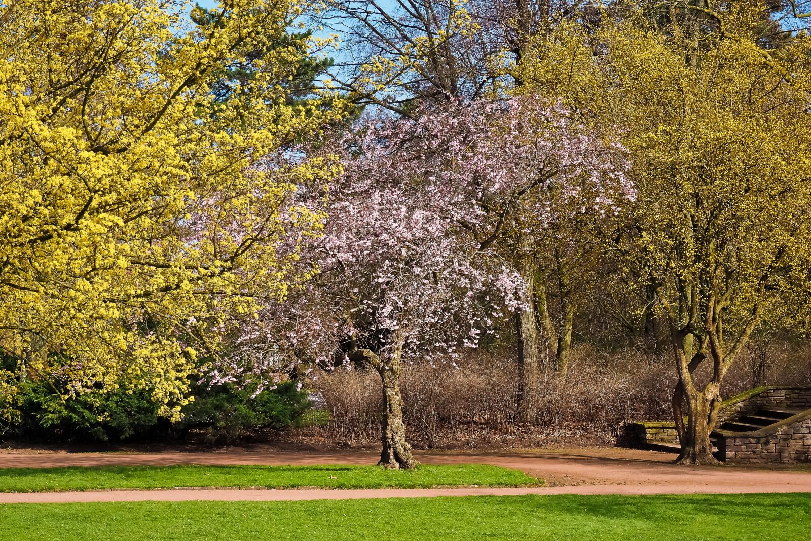Olympus OM-D E-M10 sample photo. Park, landscape, nature photography