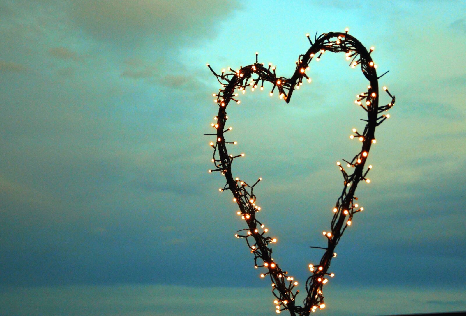 Nikon D5100 sample photo. Heart, light bulb, sky photography