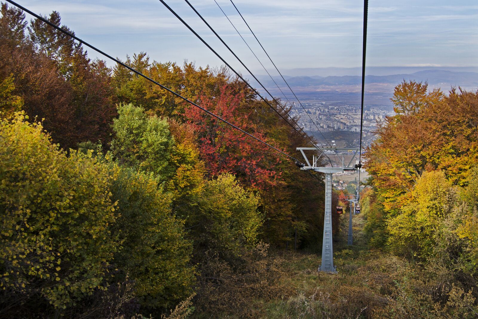 Nikon D5100 sample photo. Fall colors, vivid, foliage photography