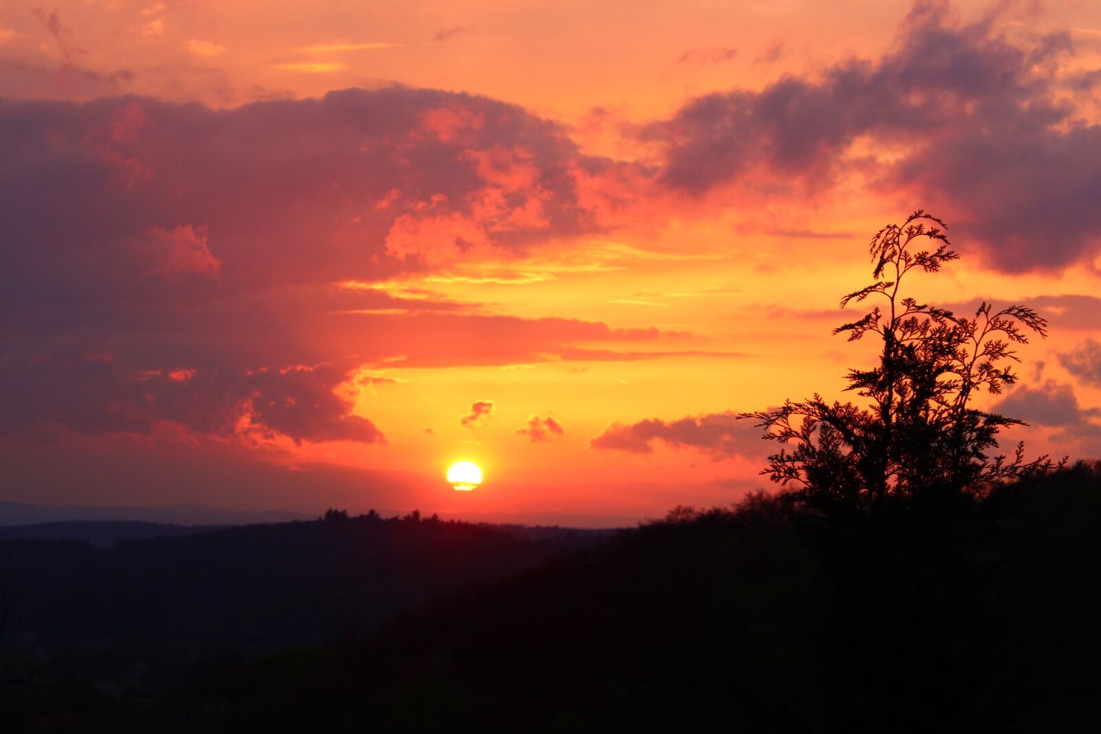Canon EOS 600D (Rebel EOS T3i / EOS Kiss X5) sample photo. Nature, sunset, hesse photography