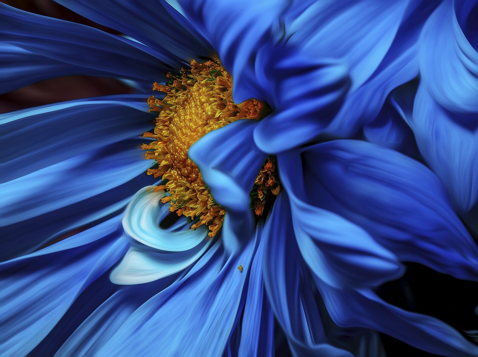 Canon EF 100mm F2.8L Macro IS USM sample photo. Flower, blue, bloom photography
