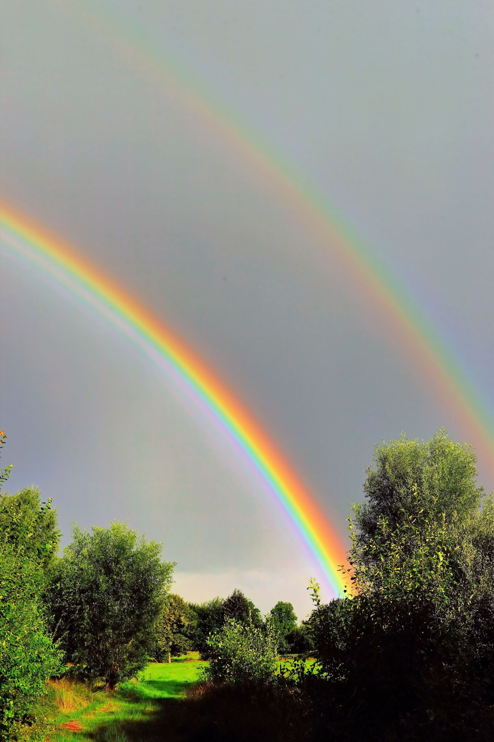 Sony a99 II sample photo. Sunrise, rainbow, good morning photography
