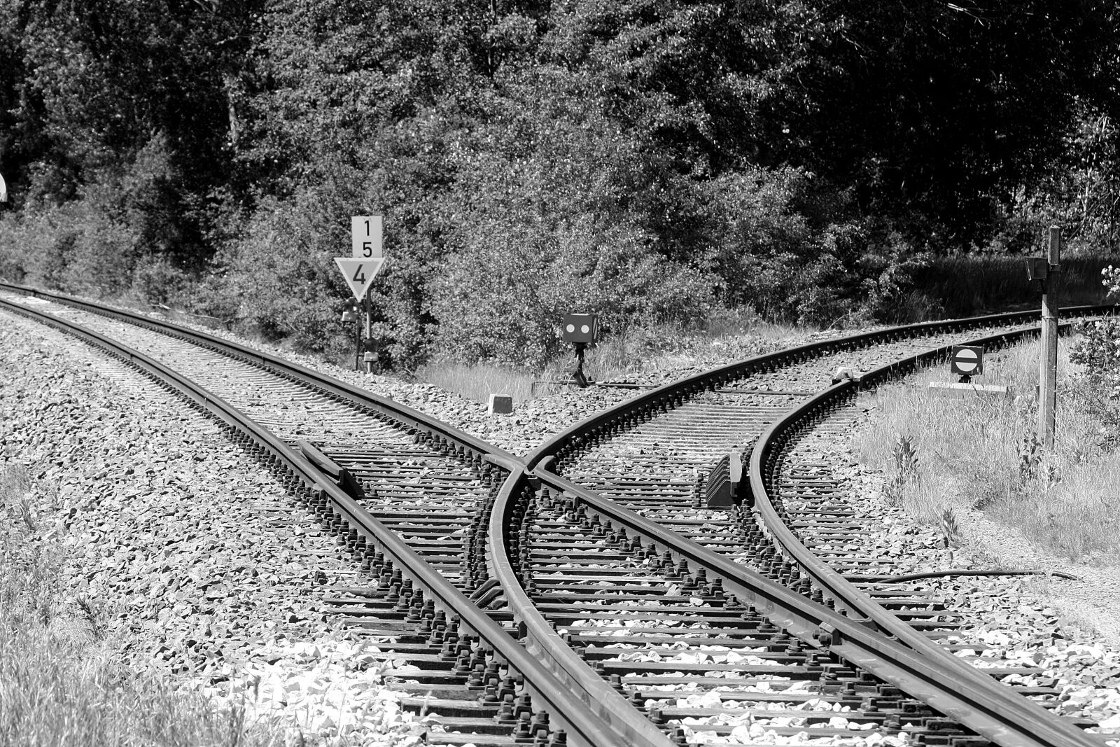 Canon EOS 1000D (EOS Digital Rebel XS / EOS Kiss F) sample photo. Track, railway line, rail photography