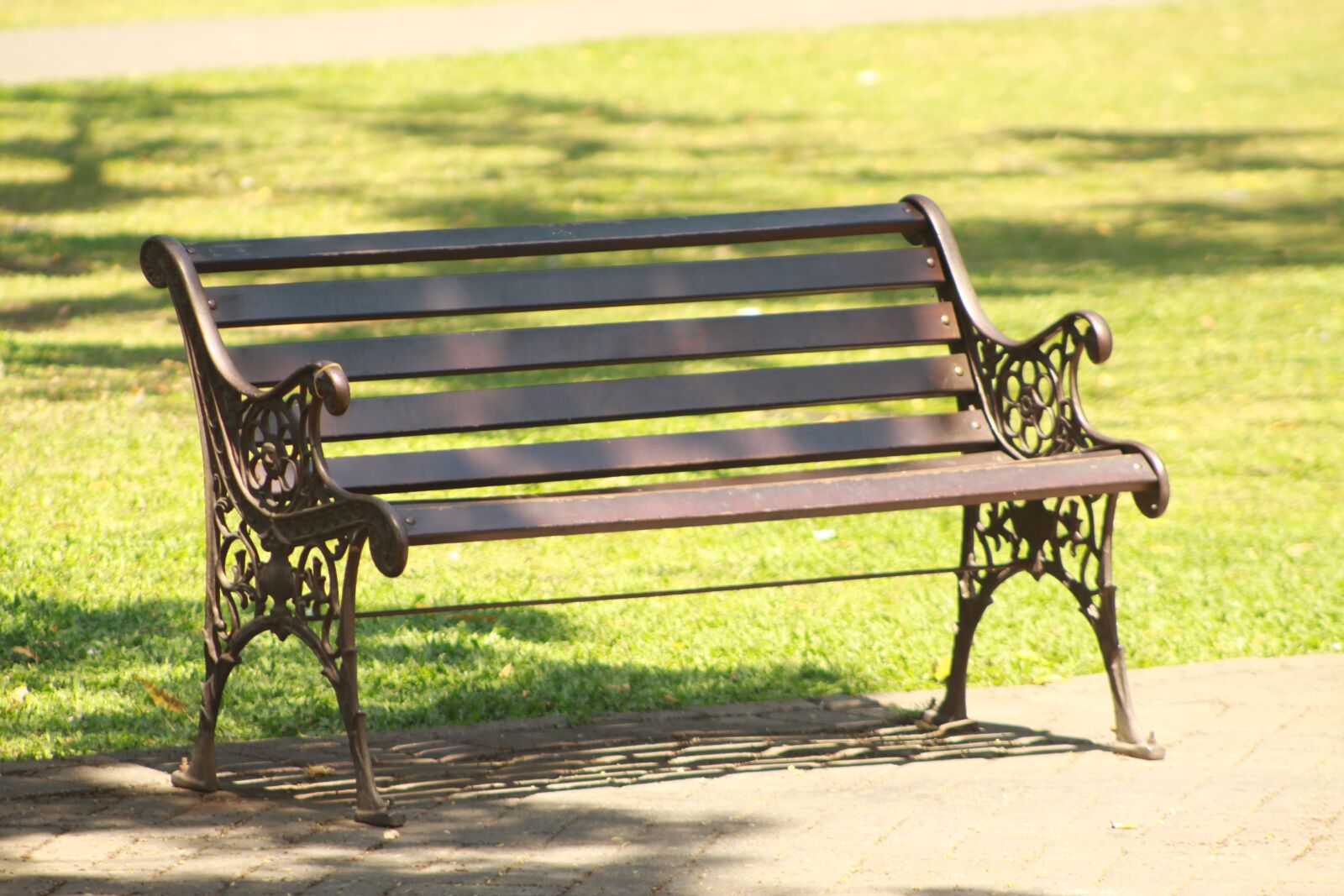 Canon EOS 50D sample photo. Bench, park, autumn photography