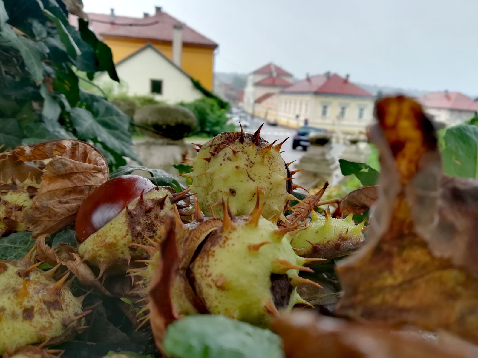 HUAWEI P10 lite sample photo. Autumn, chestnut, pakrac, rainy photography