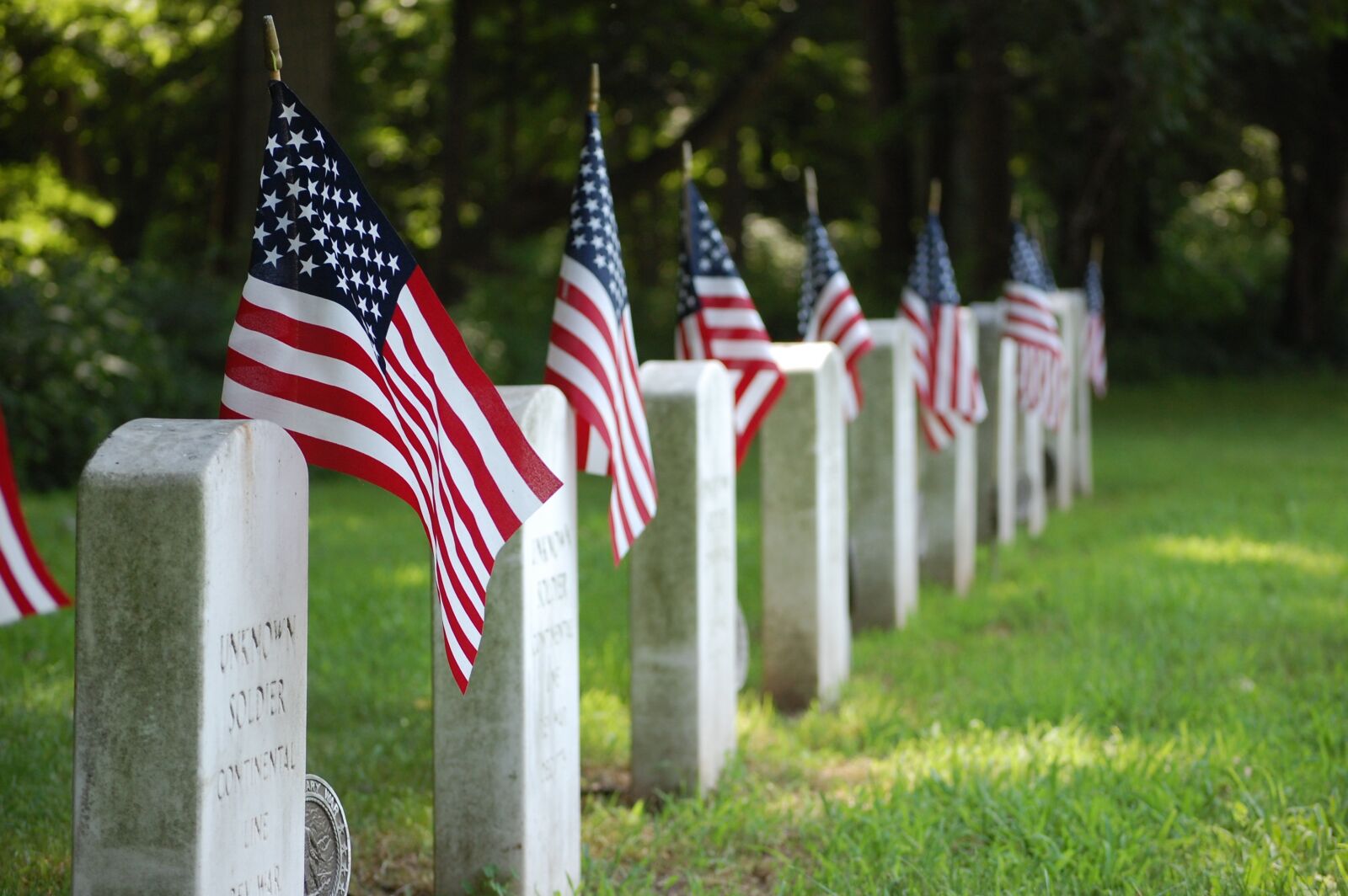 Nikon D40 sample photo. Graves, flag, united states photography