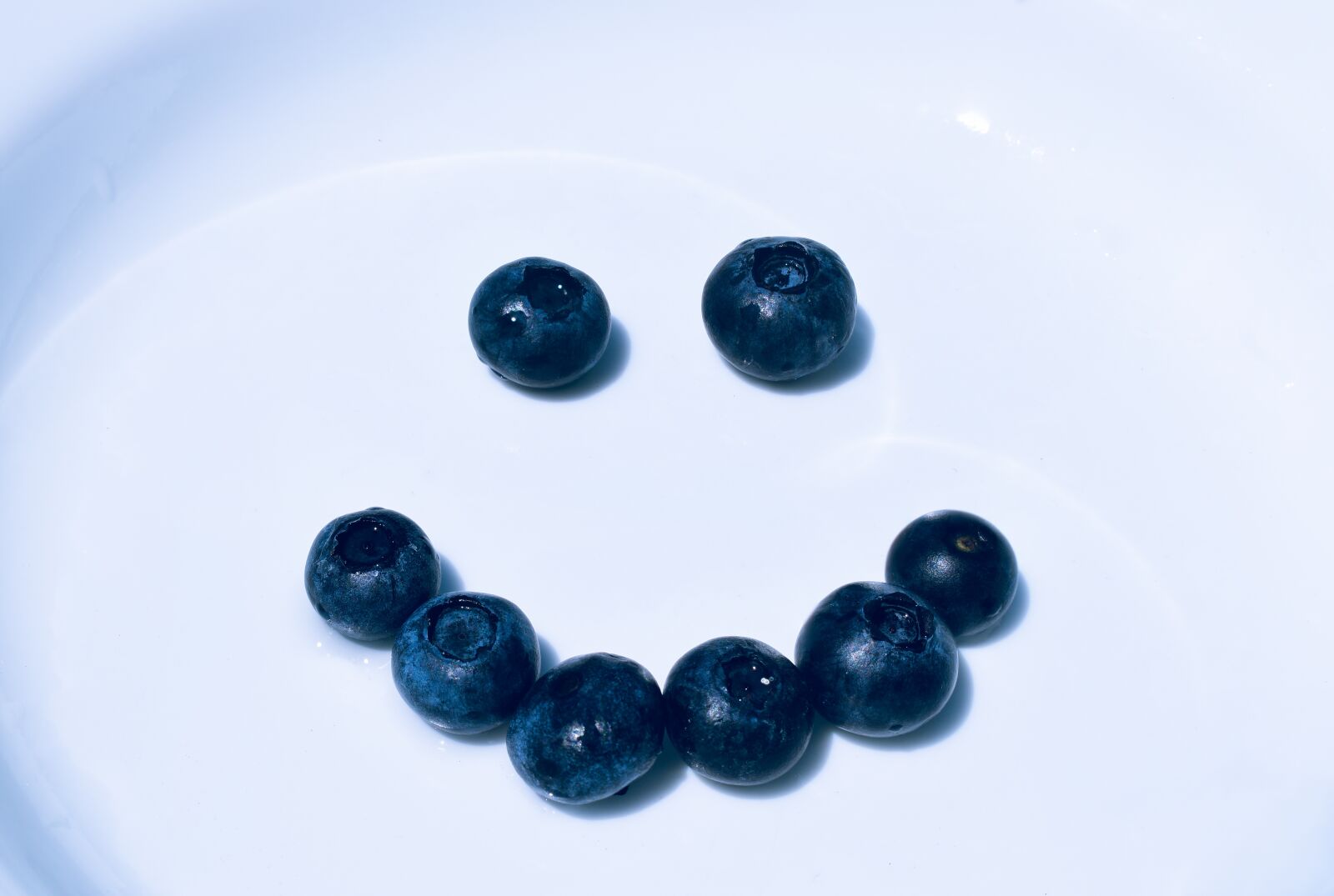 Nikon D5600 sample photo. Blueberries, fresh, fruit photography