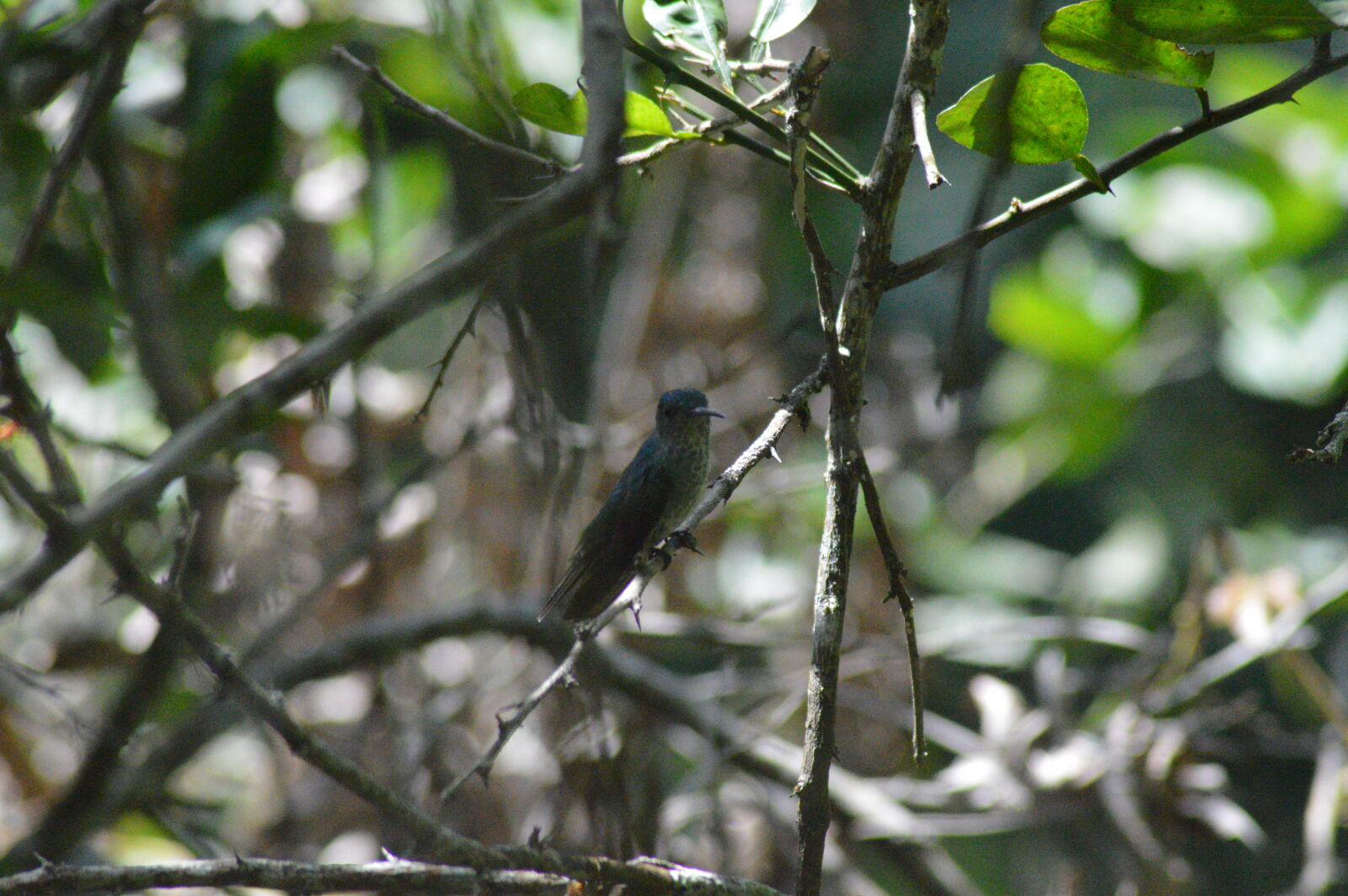 Nikon D3200 sample photo