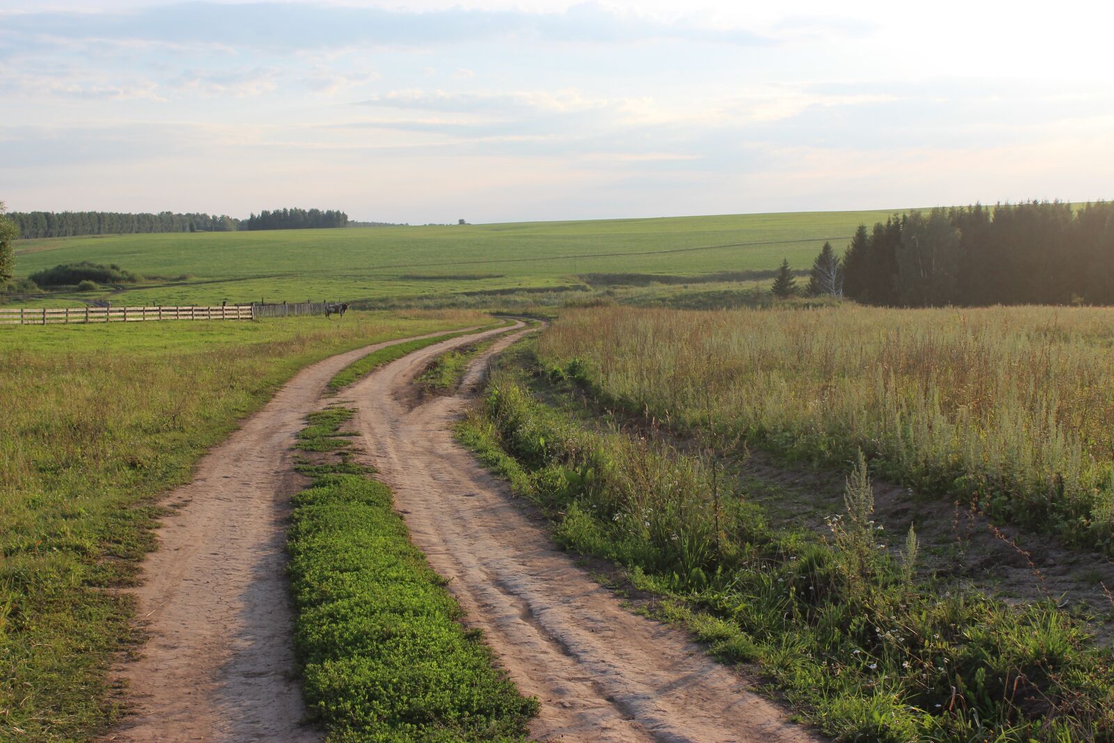 Canon EOS 600D (Rebel EOS T3i / EOS Kiss X5) sample photo. Country road, summer, sky photography