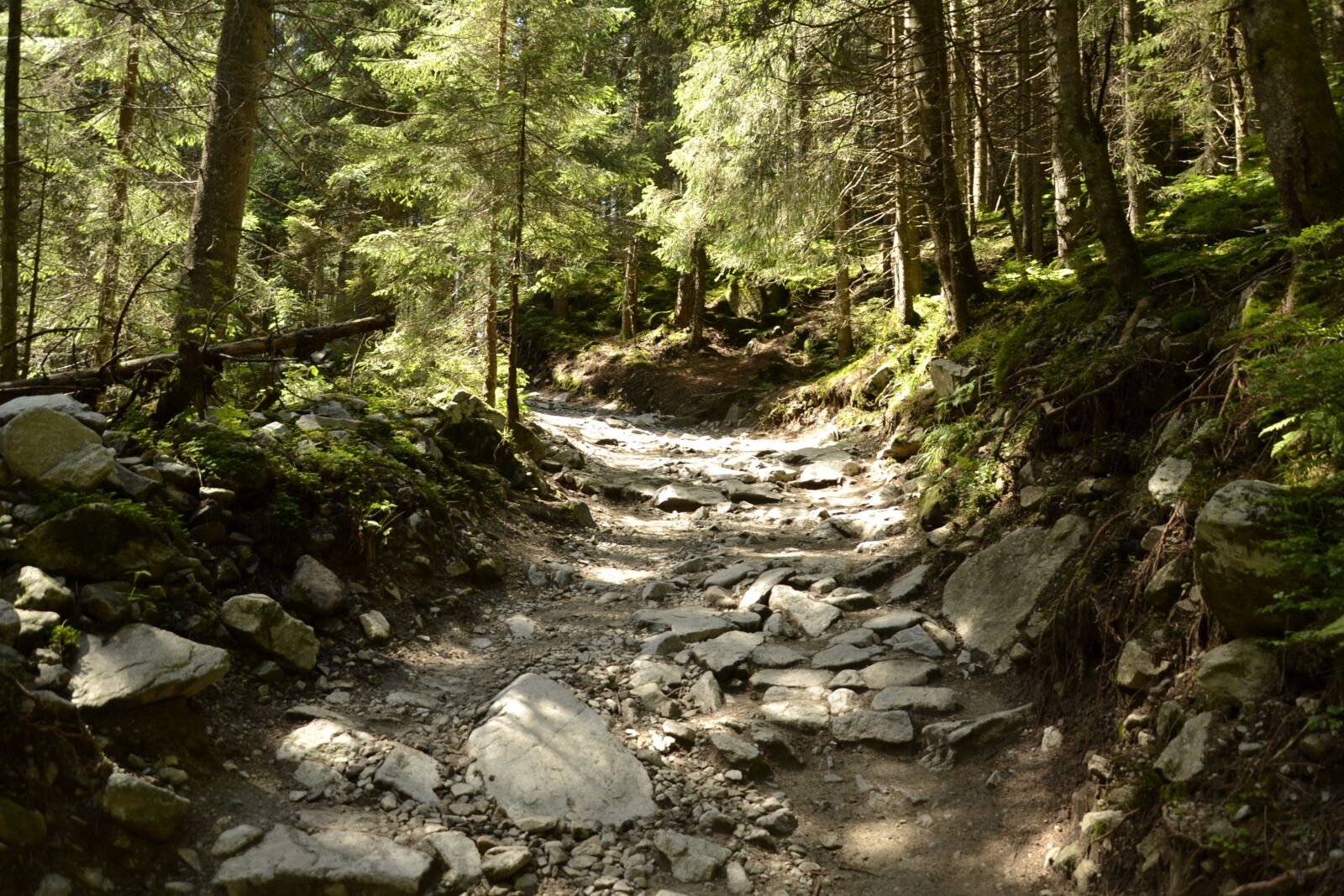 Nikon D3100 sample photo. Mountains, buried, valley of photography