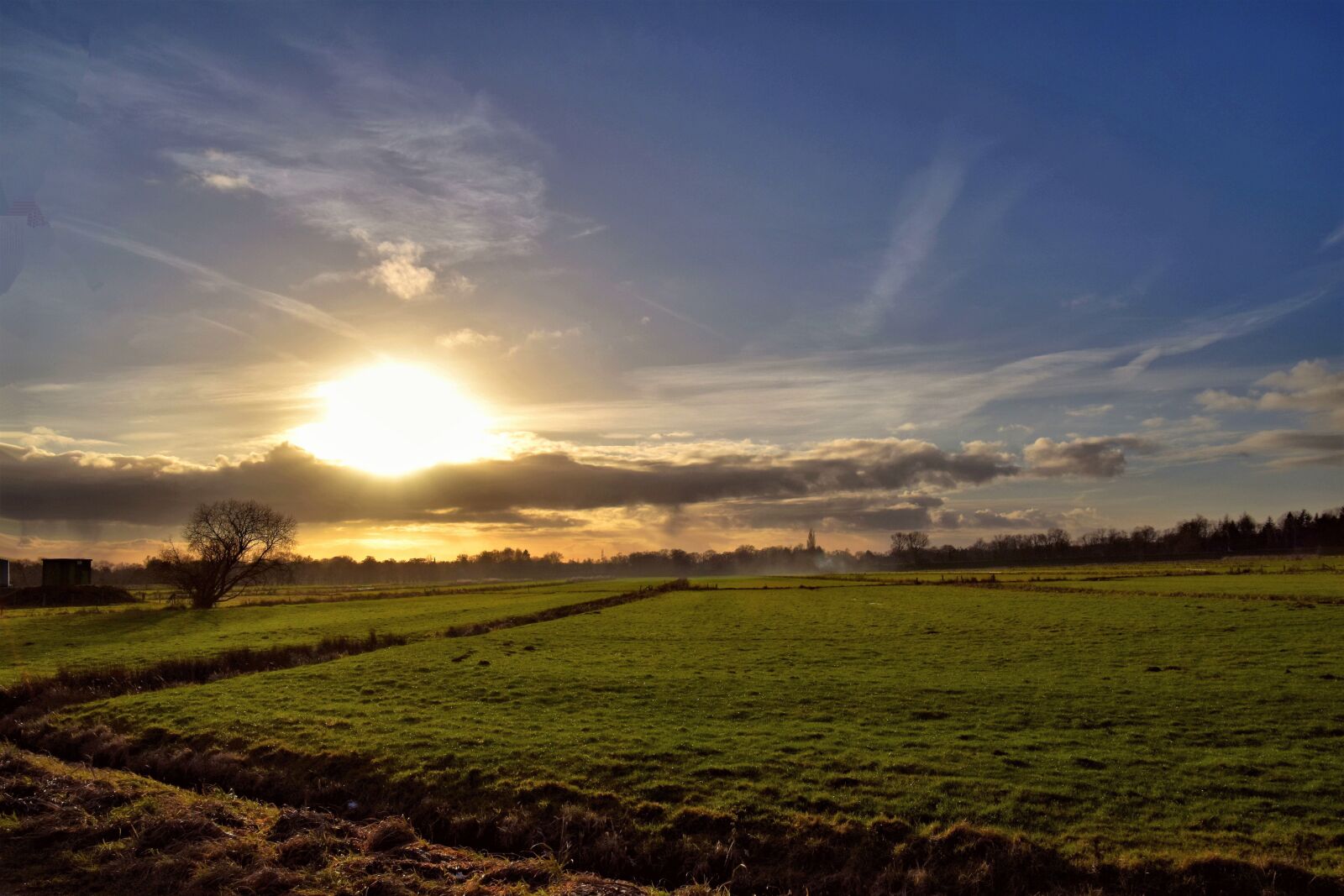 Nikon D5600 sample photo. Landscape, scenic, hasbergen photography