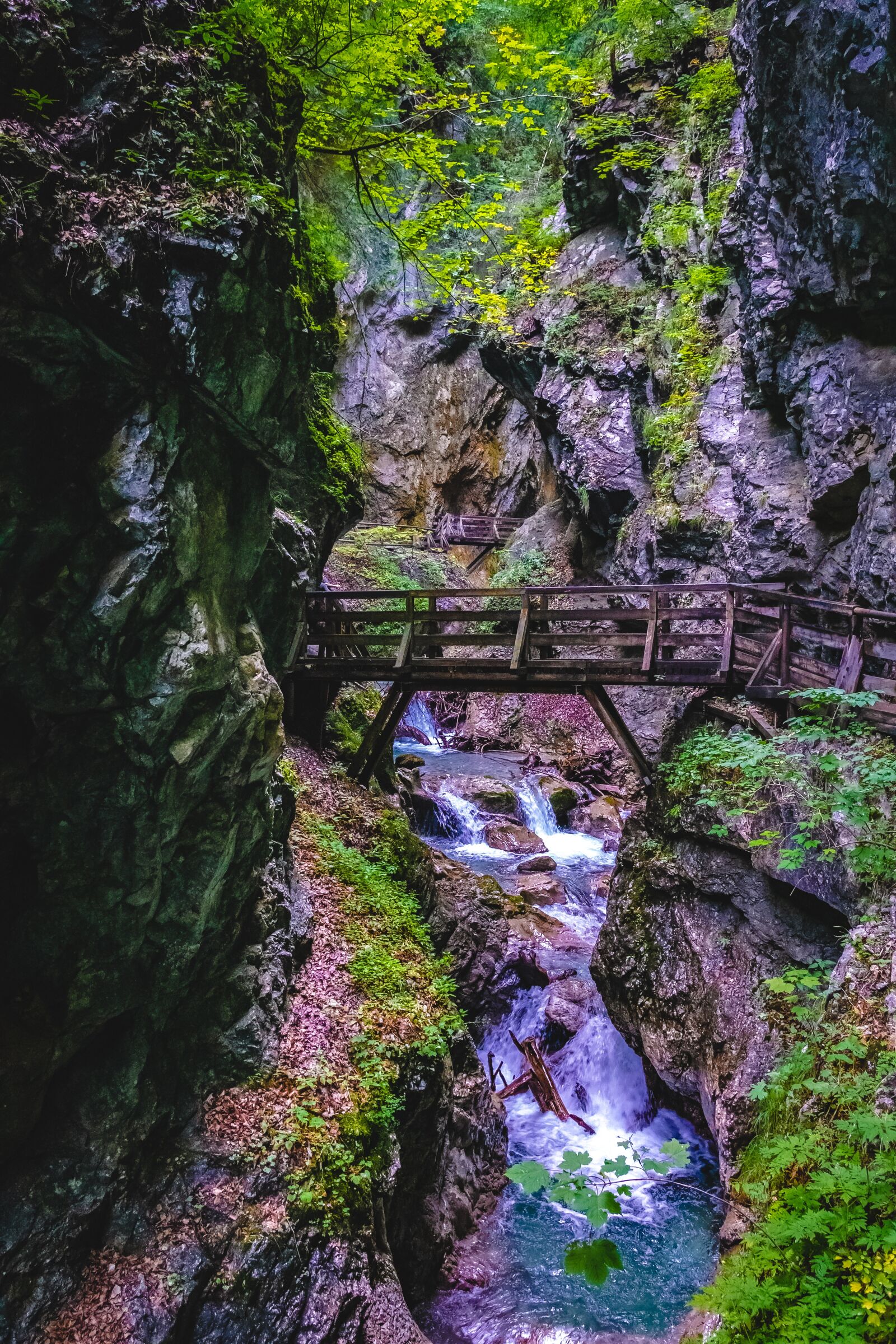 Sony a6000 + Sigma 19mm F2.8 EX DN sample photo. Wolf gorge, stans, tyrol photography