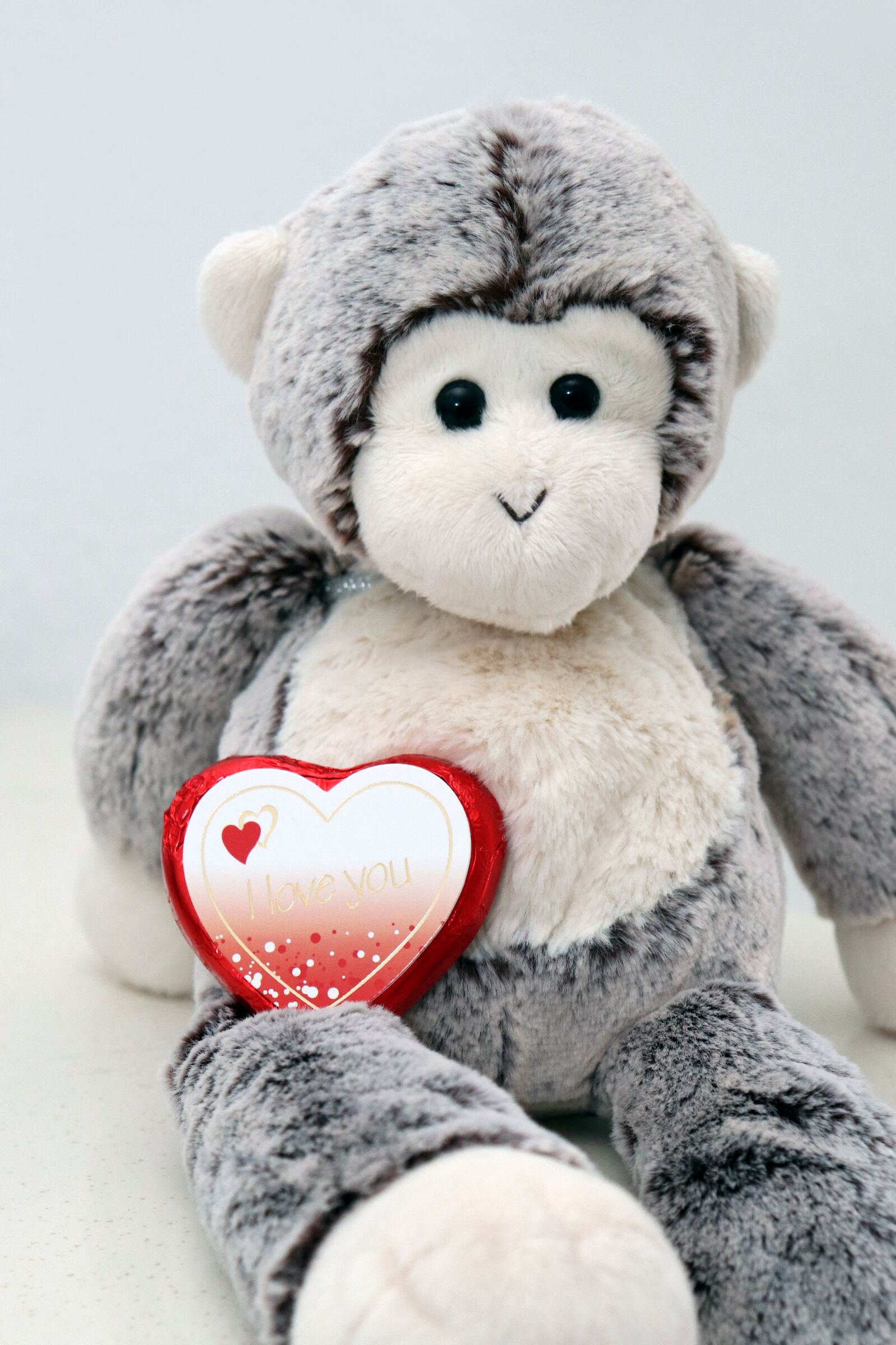 Canon EOS 800D (EOS Rebel T7i / EOS Kiss X9i) sample photo. Valentine's day, stuffed animal photography