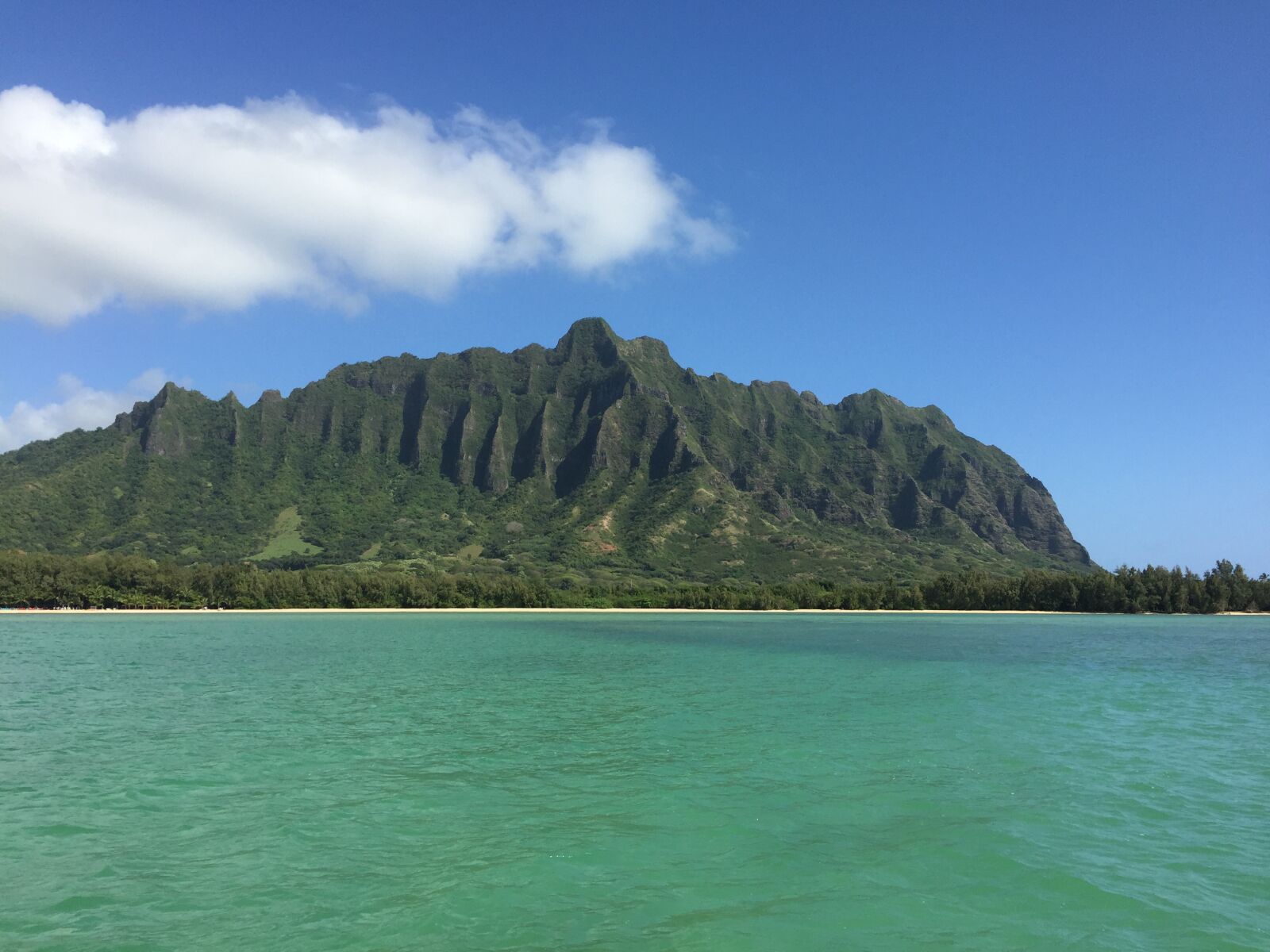 iPhone 6 back camera 4.15mm f/2.2 sample photo. Hawaii, kualoa lunch, sea photography
