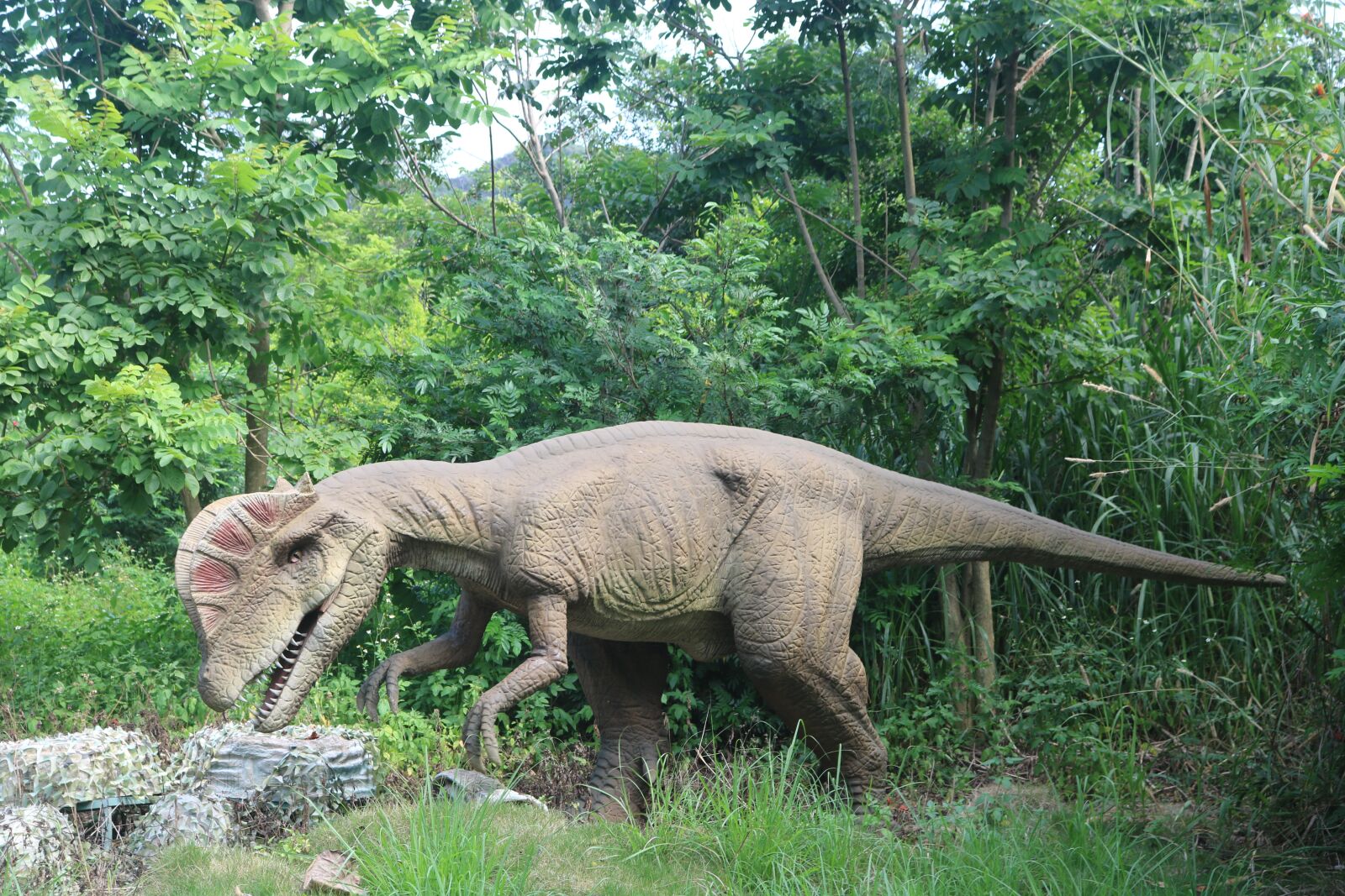 Canon EOS 750D (EOS Rebel T6i / EOS Kiss X8i) sample photo. Dinosaur, ancient dinosaur, simulation photography