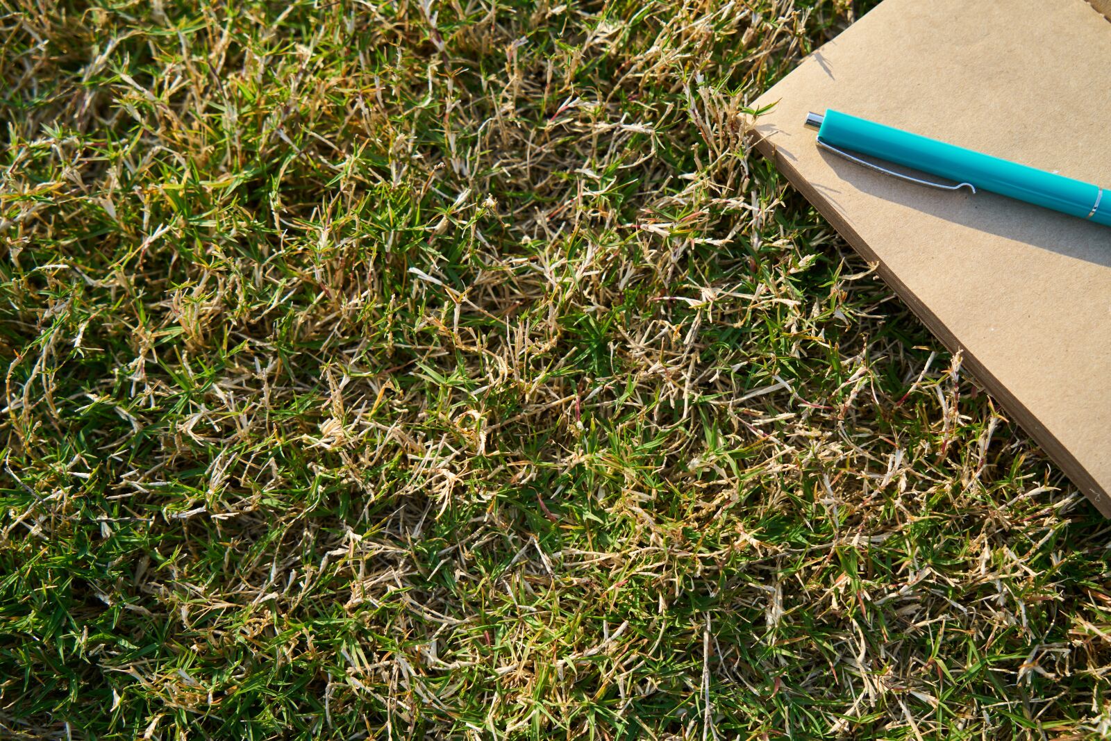 Sony a7R II sample photo. Grass, notebook, pen photography