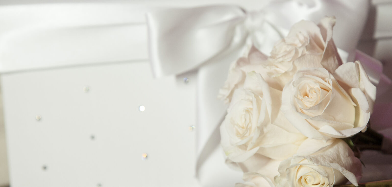 Canon EOS 5D Mark II sample photo. Bow, decoration, money, box photography