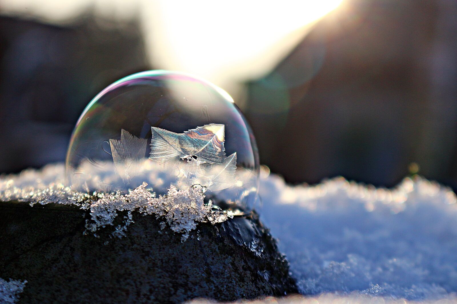 Canon EOS 100D (EOS Rebel SL1 / EOS Kiss X7) sample photo. Frozen bubble, soap bubble photography
