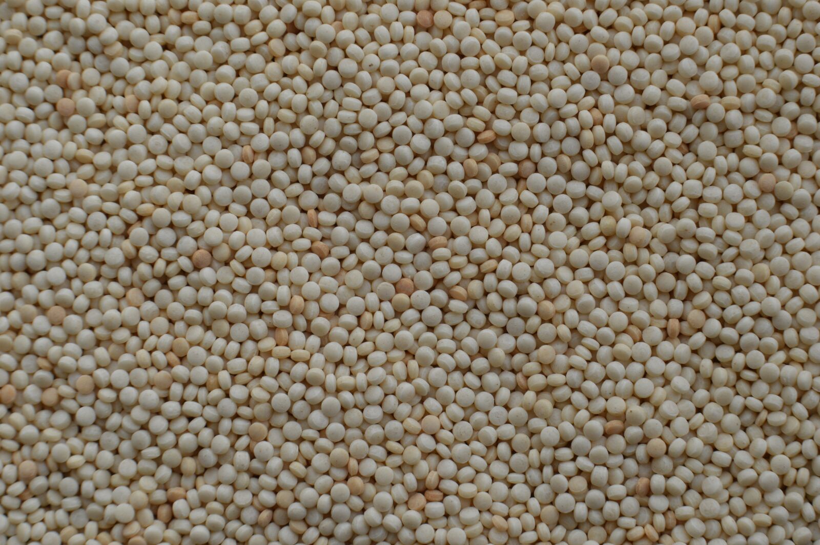Nikon D3200 sample photo. Israeli couscous, pearled couscous photography