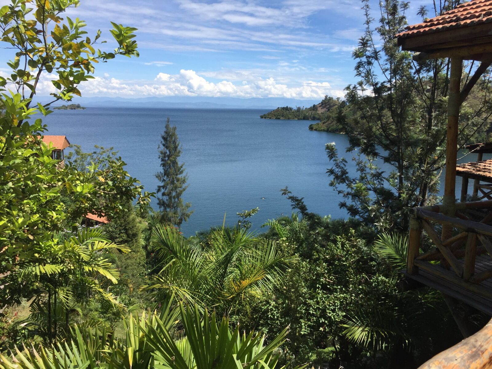 iPhone 6 Plus back camera 4.15mm f/2.2 sample photo. Africa, jungle, forest photography
