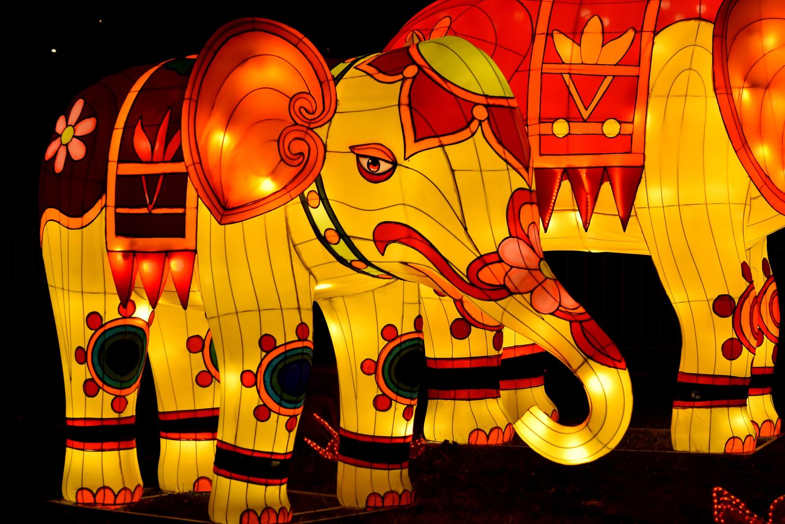 Nikon D5500 sample photo. Art, colorful, elephant, handmade photography