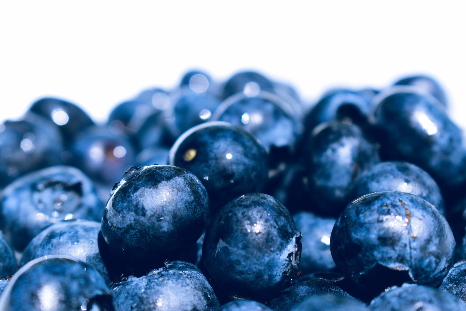 Nikon D5600 sample photo. Blueberries, fresh, fruit photography