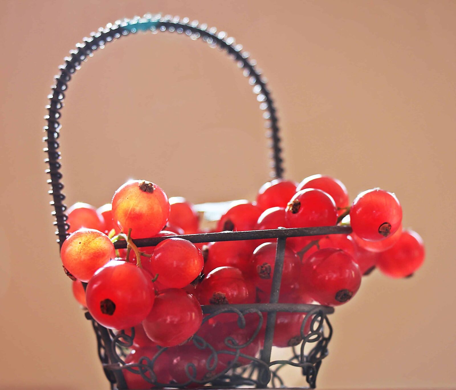 Canon EOS 550D (EOS Rebel T2i / EOS Kiss X4) sample photo. Still life, berry, fruit photography