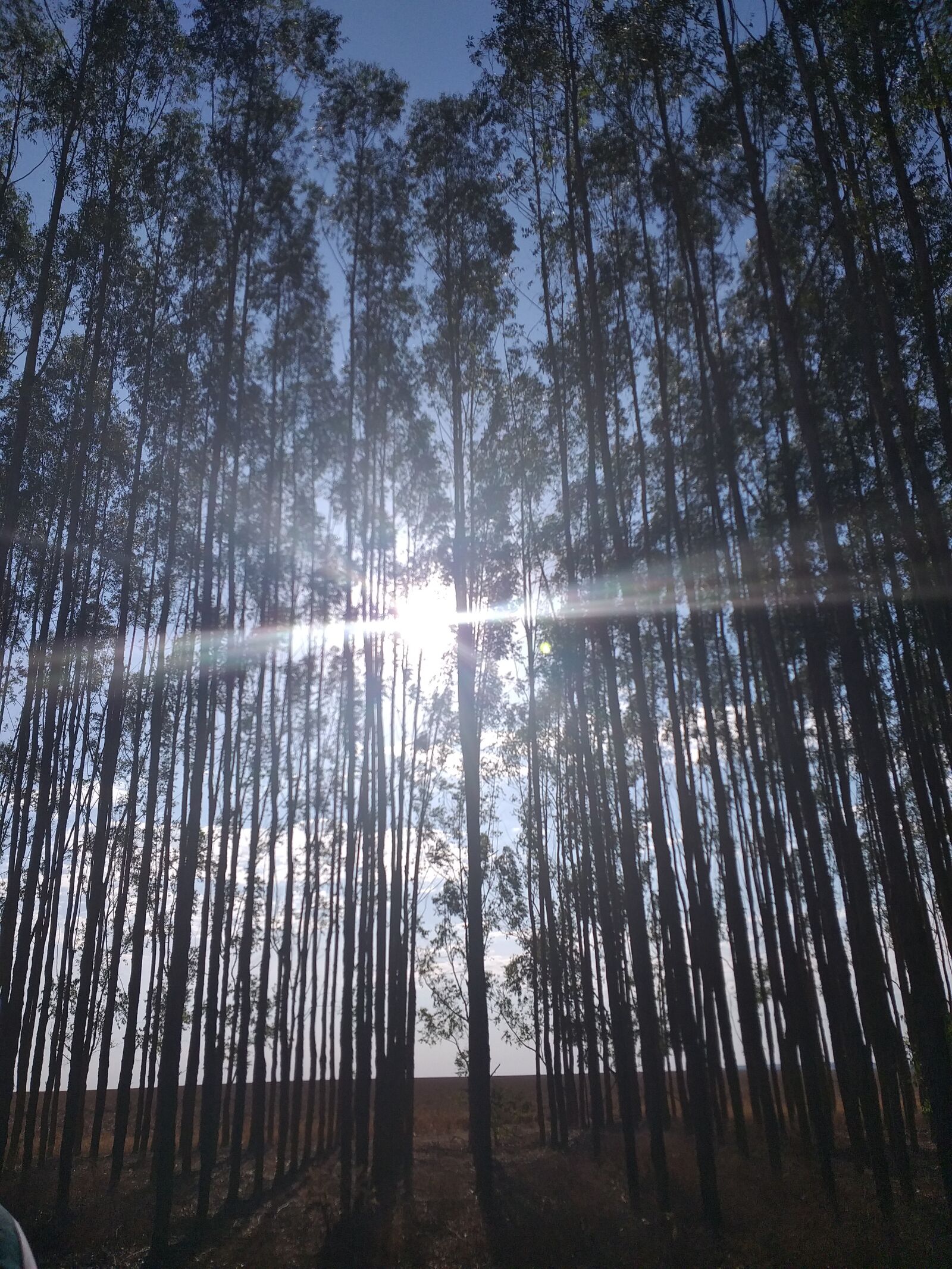 Samsung Galaxy J8 sample photo. The sun between the photography