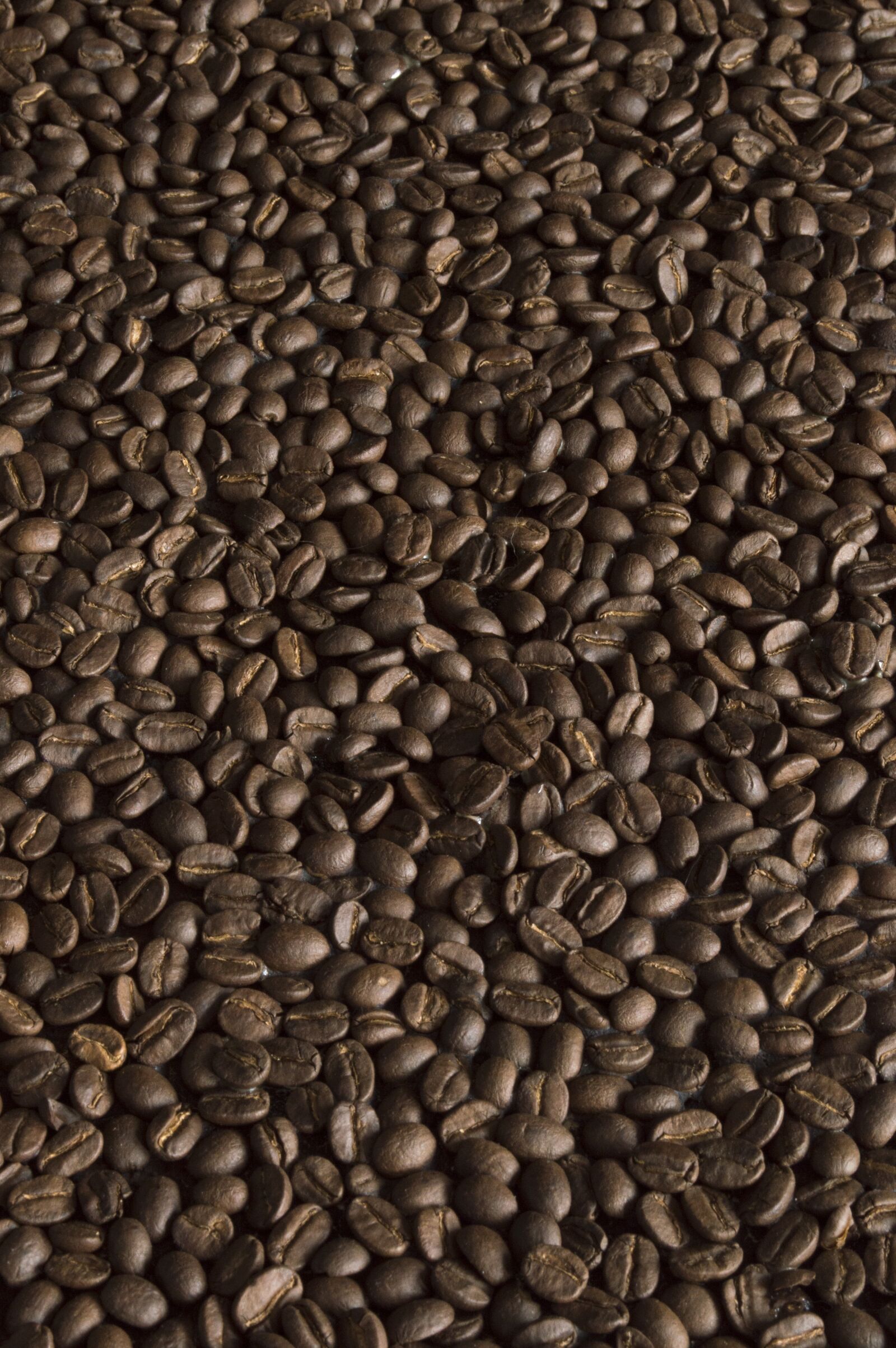 Nikon D3200 sample photo. Coffee, coffee beans, texture photography
