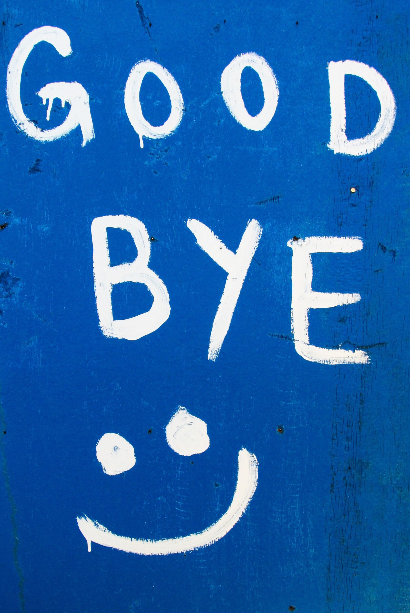 Canon PowerShot SX400 IS sample photo. Good bye, funny, sign photography