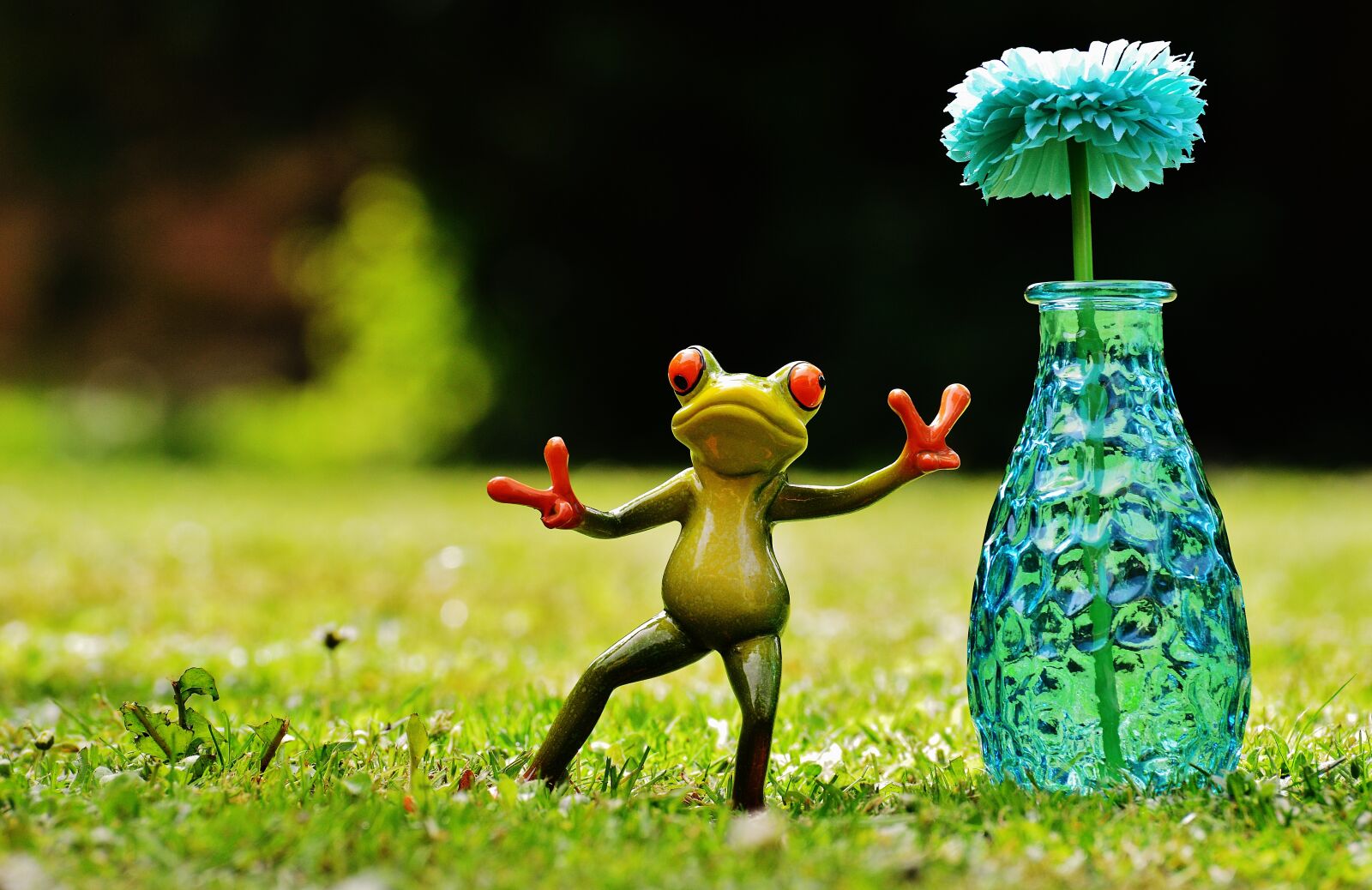 Nikon D3200 sample photo. Frog, gesture, peace photography