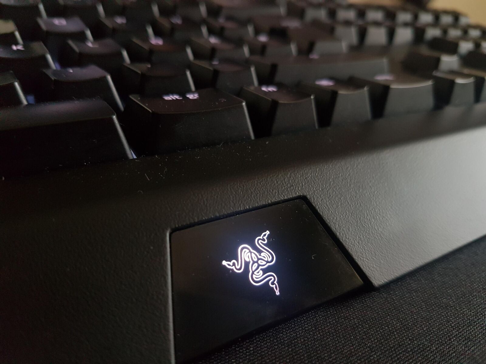 Samsung Galaxy S7 Edge sample photo. Razer, razer keyboard, mechanical photography