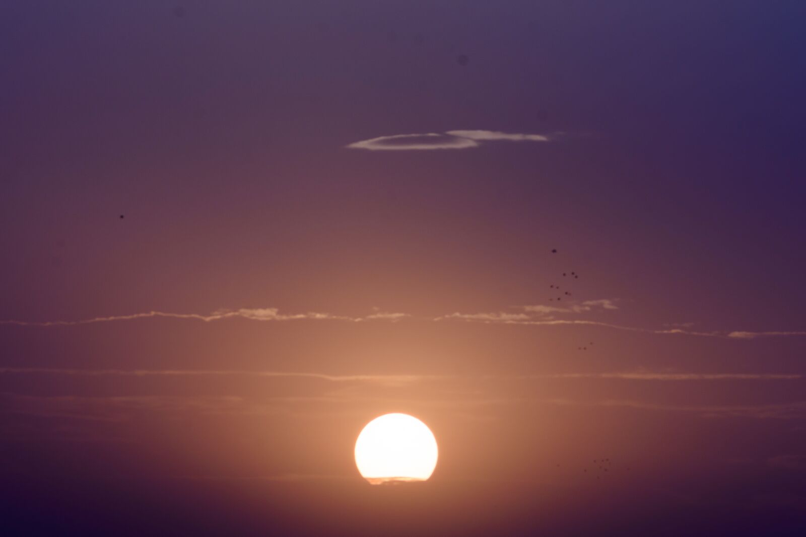 Nikon D7200 sample photo. Sun, dawn, nature photography