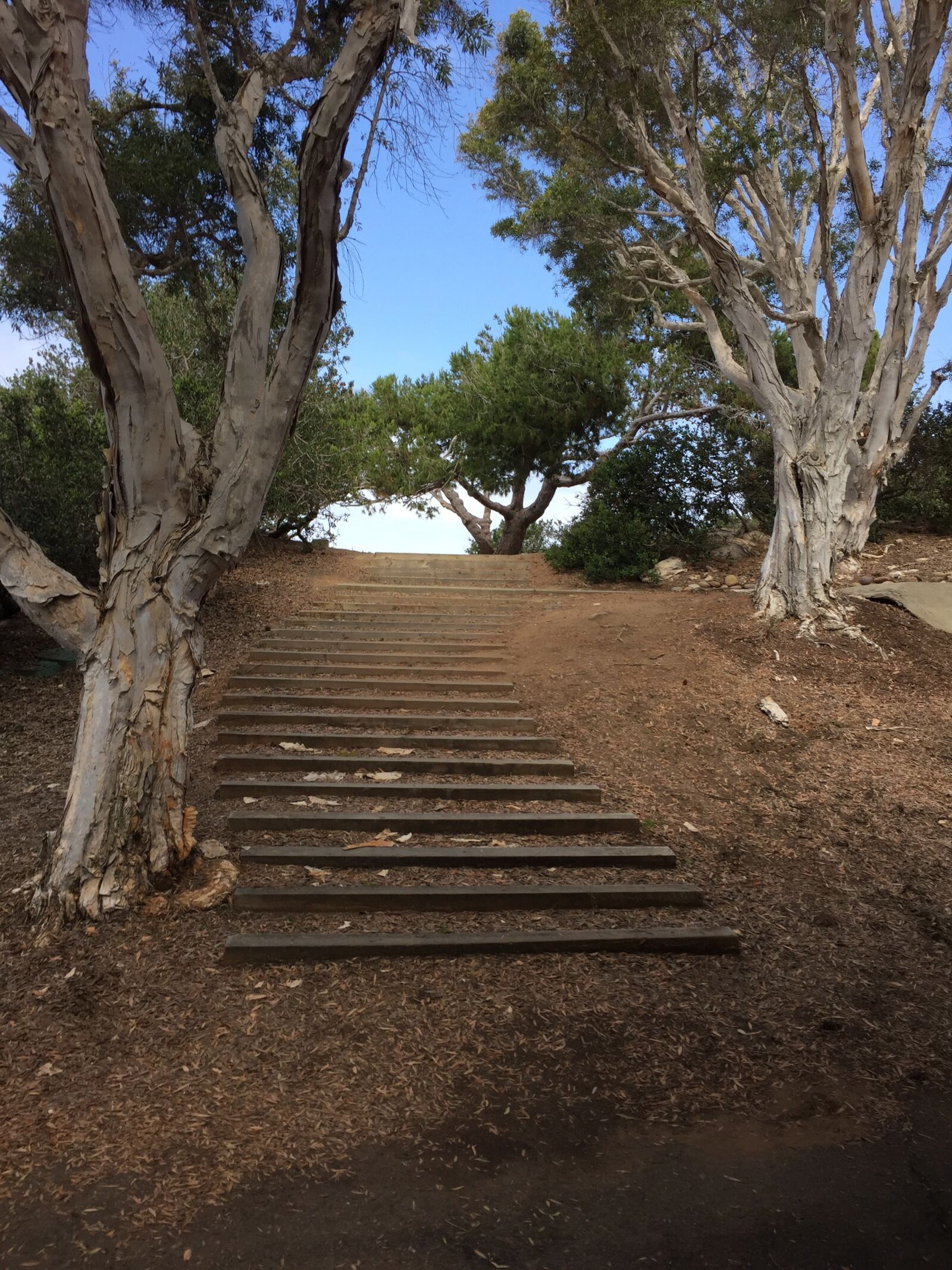 Apple iPhone 6 sample photo. Stairs, upward, reaching goals photography