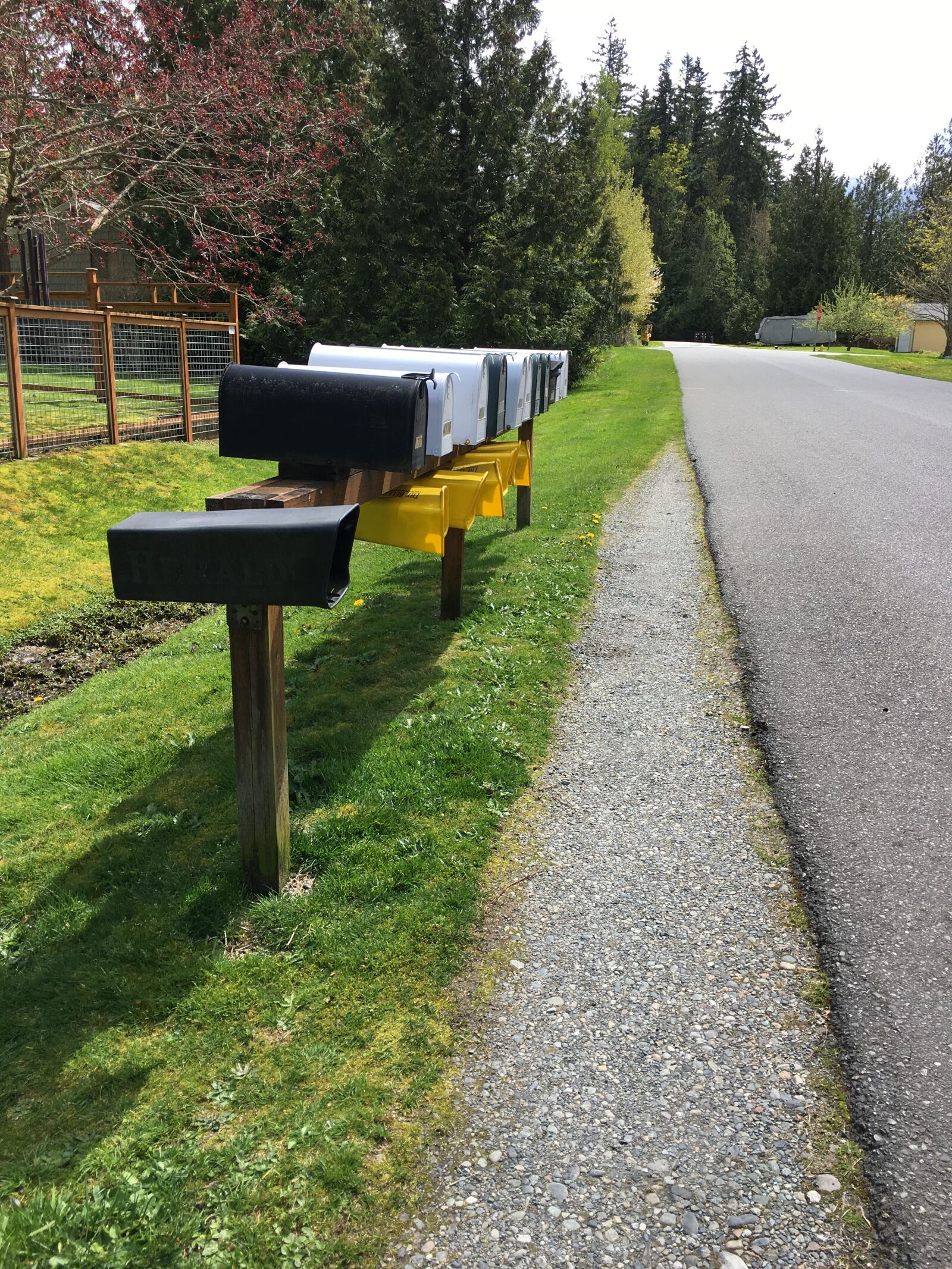 Apple iPhone 6s sample photo. Mailbox, road, grass photography