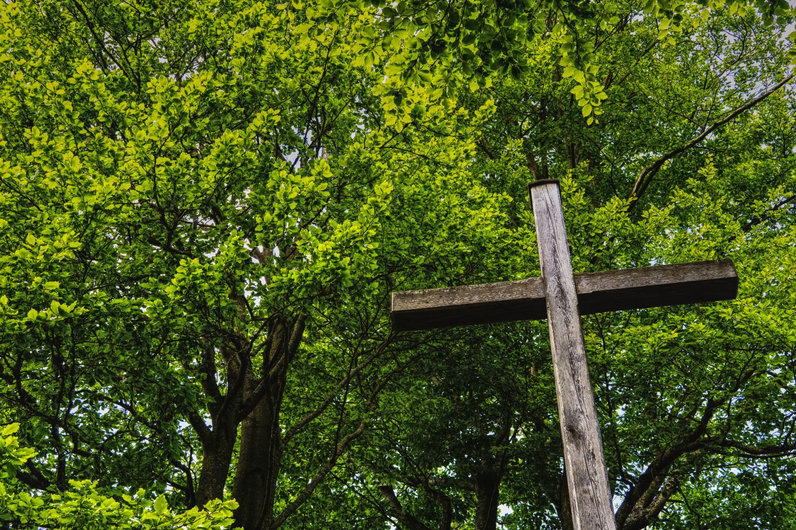 Sony a6300 + Sigma 30mm F2.8 EX DN sample photo. Cross, summit cross, summit photography