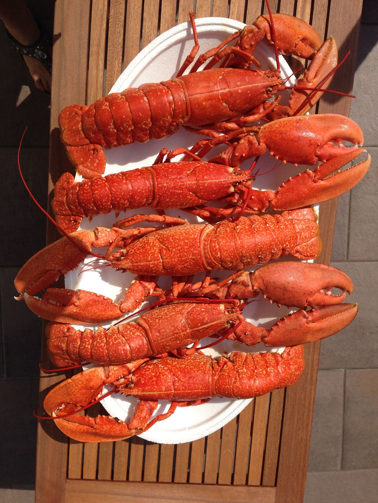iPhone 5 back camera 4.12mm f/2.4 sample photo. Food, lobster, red photography