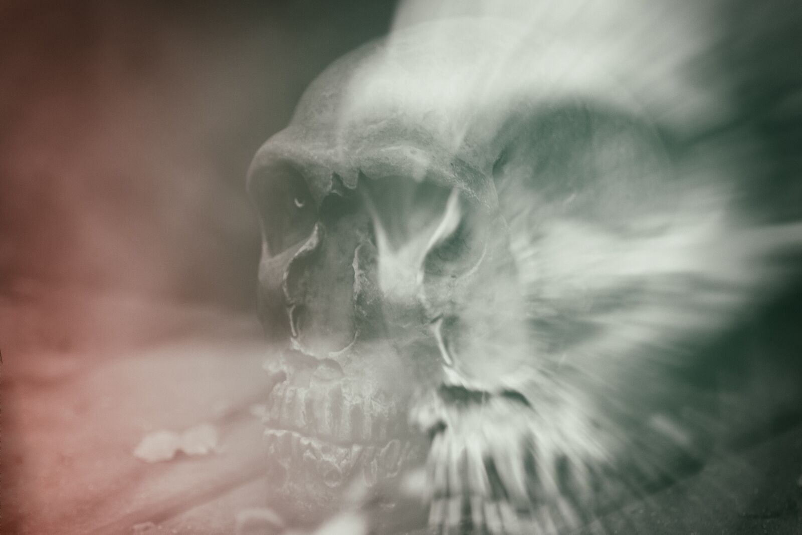 Canon EOS 50D sample photo. Skull and crossbones, double photography