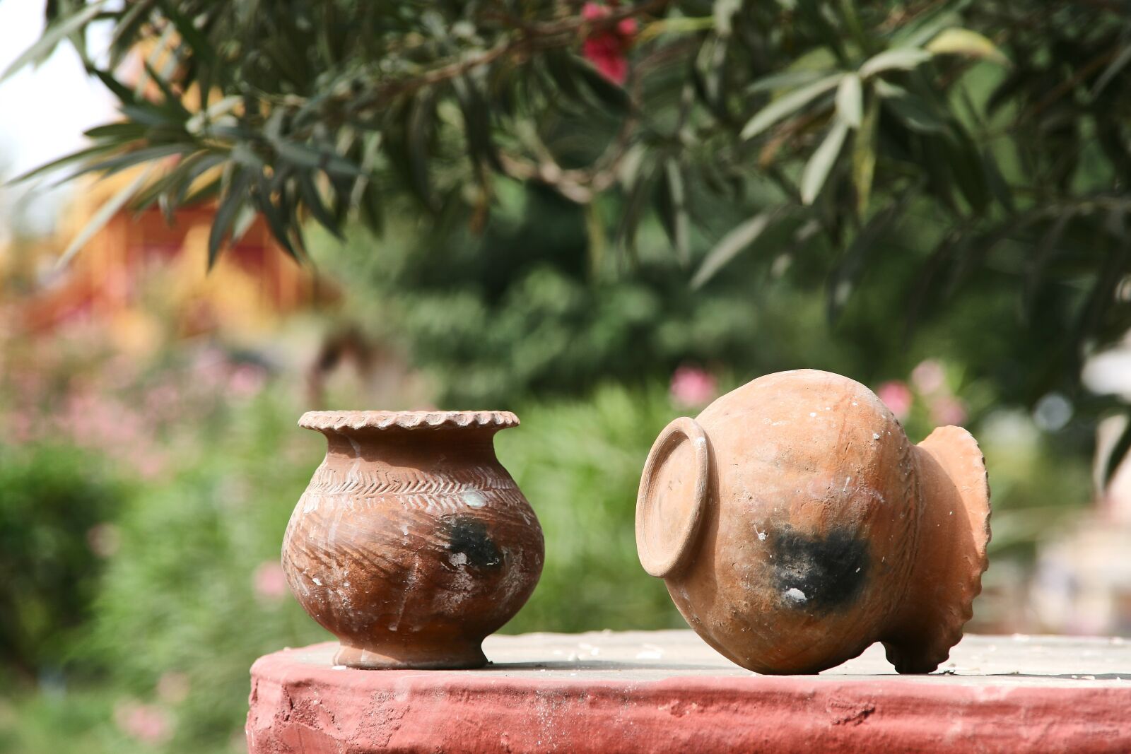 Canon EOS 400D (EOS Digital Rebel XTi / EOS Kiss Digital X) sample photo. Clay pots, terracotta, garden photography