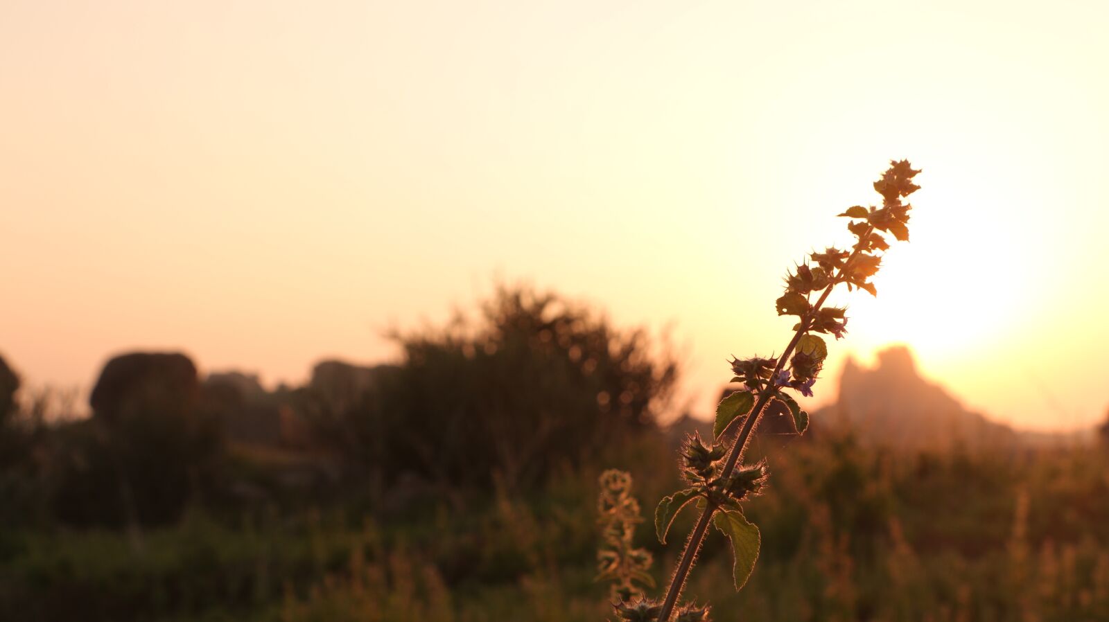 Canon EOS 70D sample photo. Hampi, india, sunset photography
