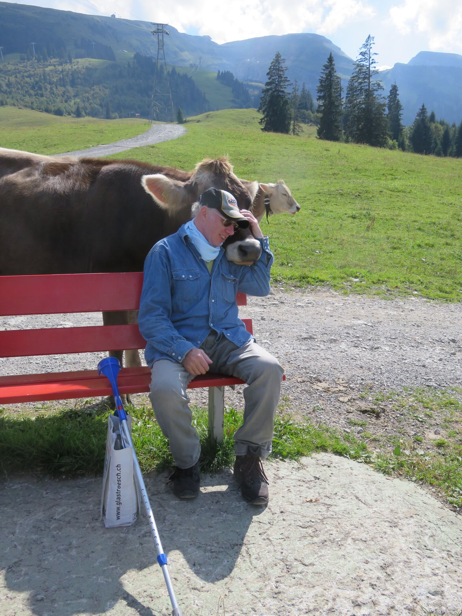 Canon PowerShot SX710 HS sample photo. Switzerland, mountains, landscape photography