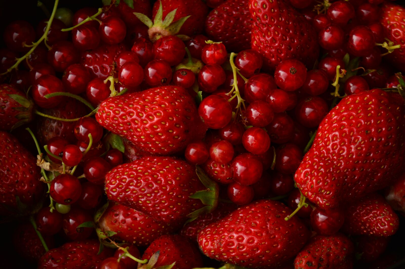 Nikon D3200 sample photo. Red berries, strawberry, red photography