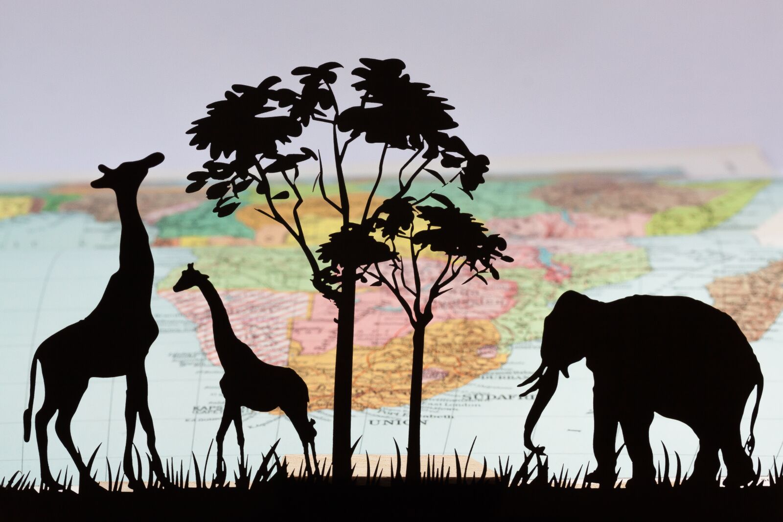 Canon EOS 50D sample photo. Africa, silhouette, laser cut photography