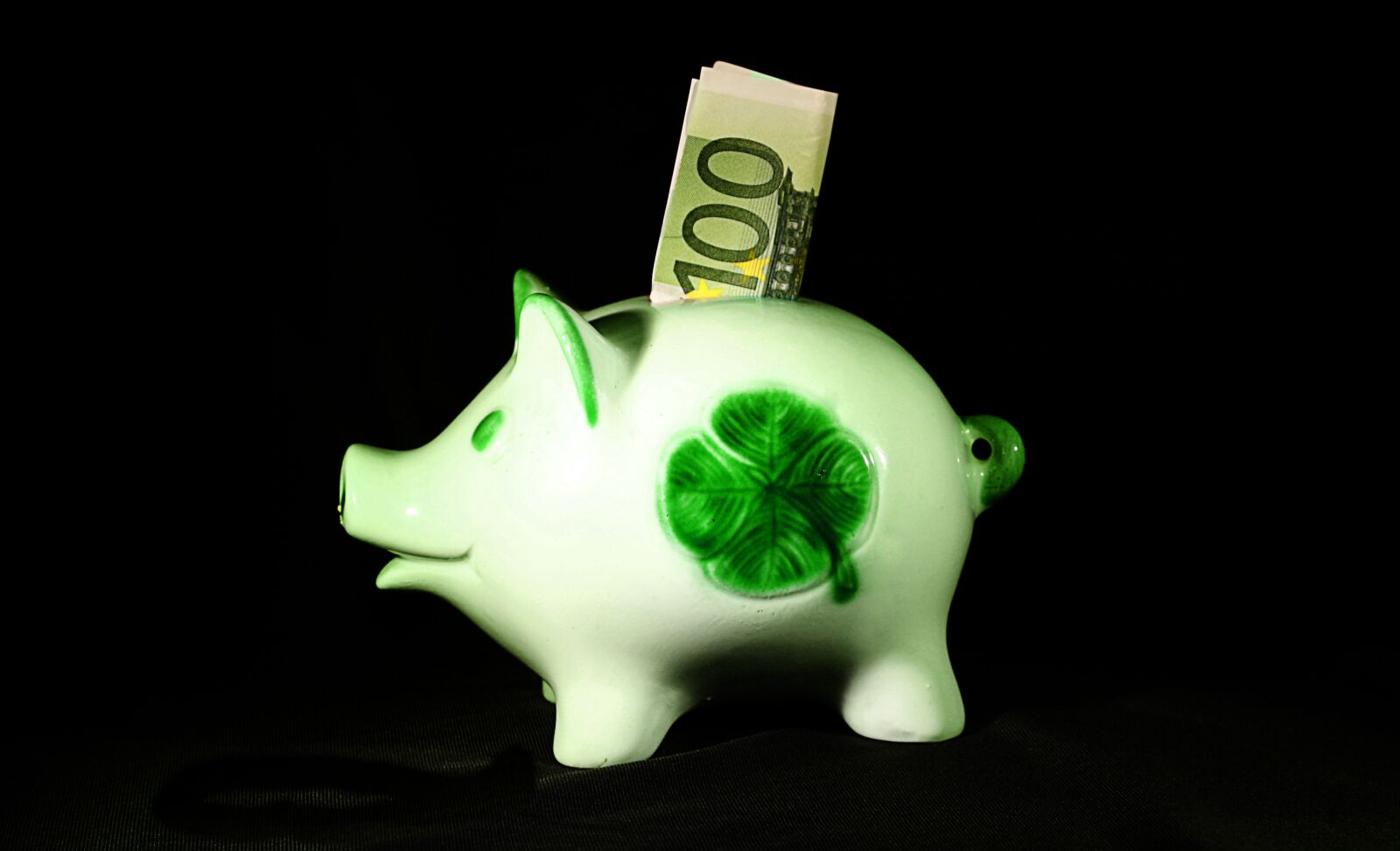Canon EOS 1000D (EOS Digital Rebel XS / EOS Kiss F) sample photo. Money, save, sparscwein photography
