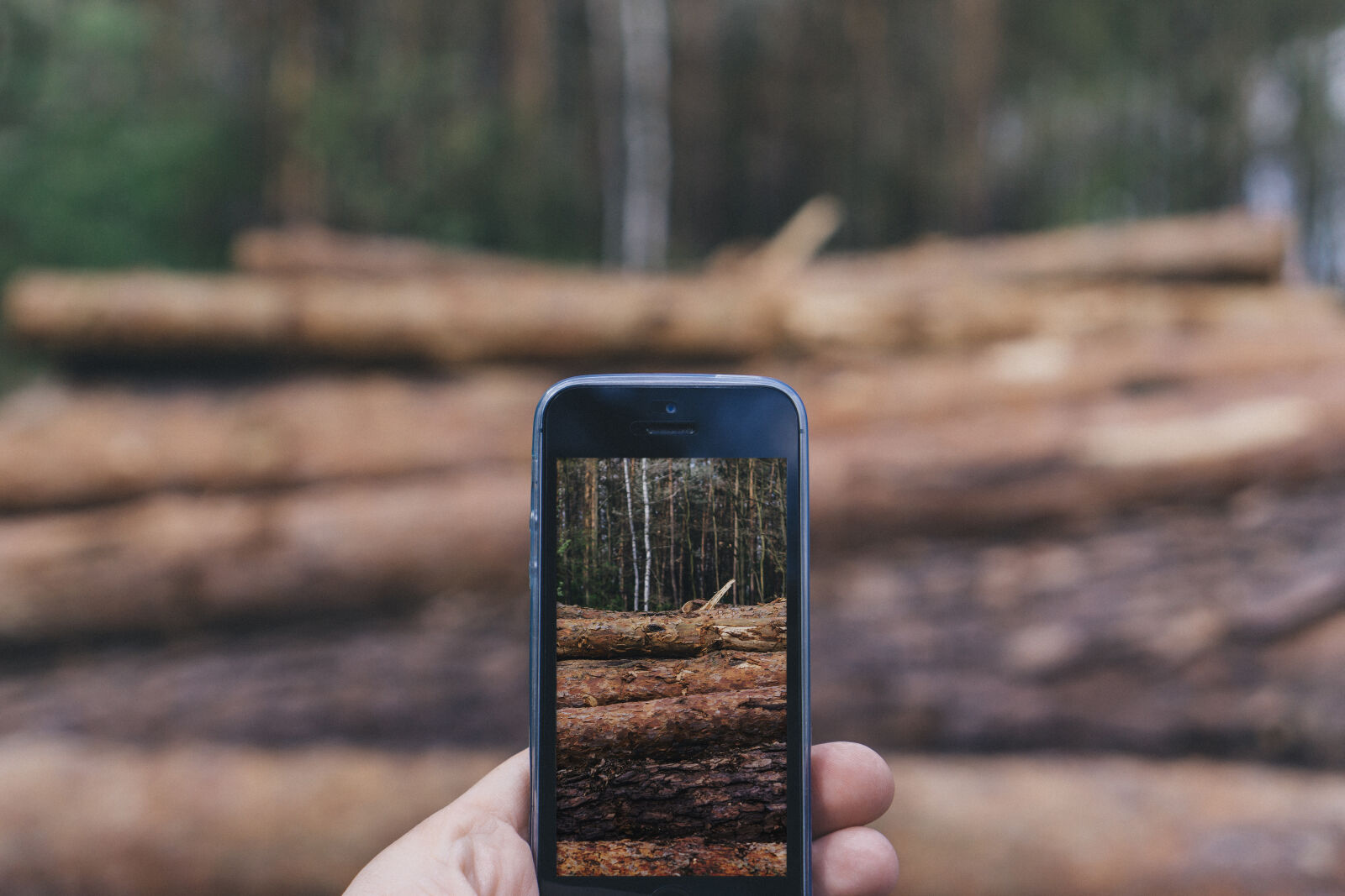 Sony a6000 + Sony E 35mm F1.8 OSS sample photo. Wood, nature, hands, apple photography