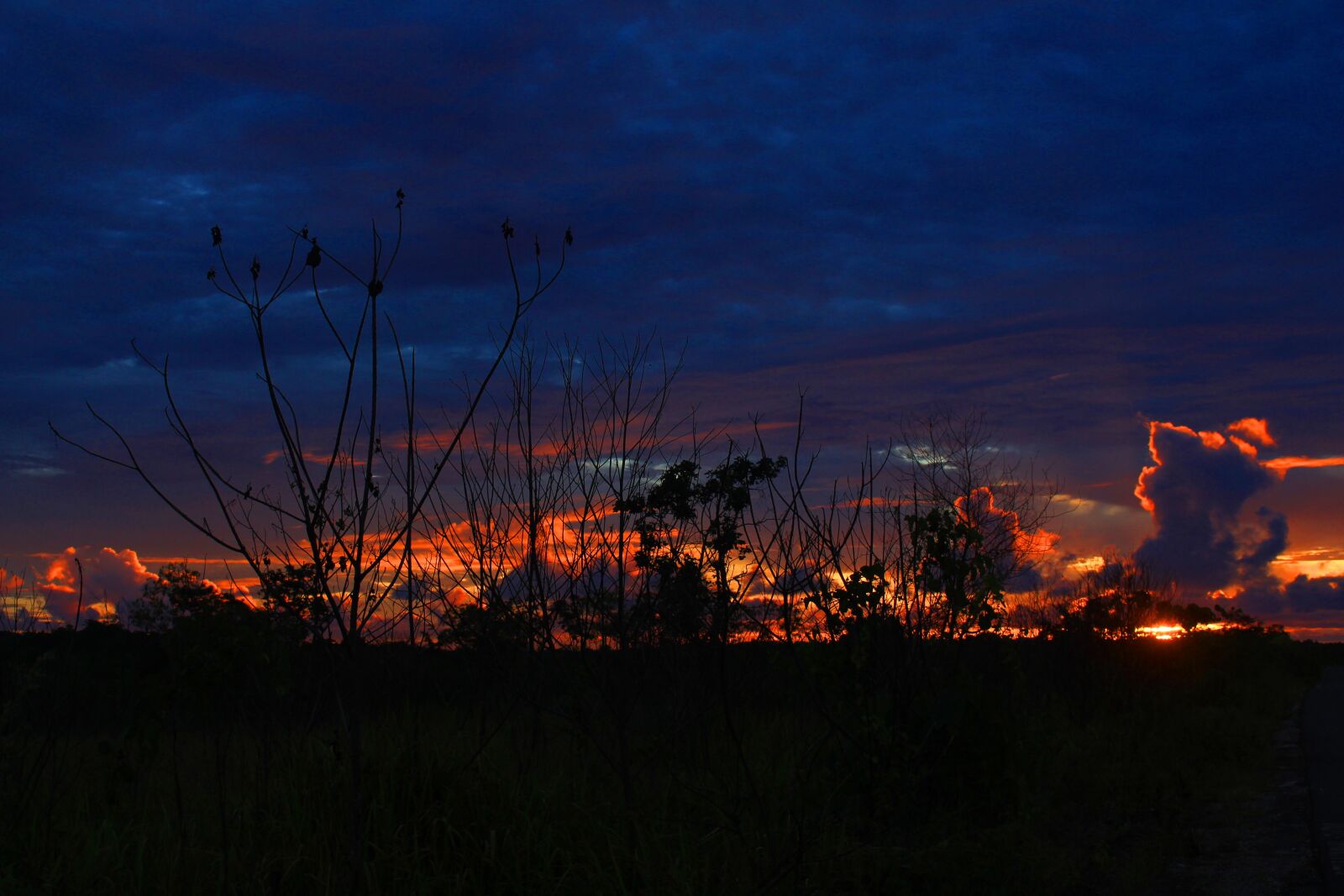 Canon EOS 700D (EOS Rebel T5i / EOS Kiss X7i) sample photo. View, twilight, the sky photography