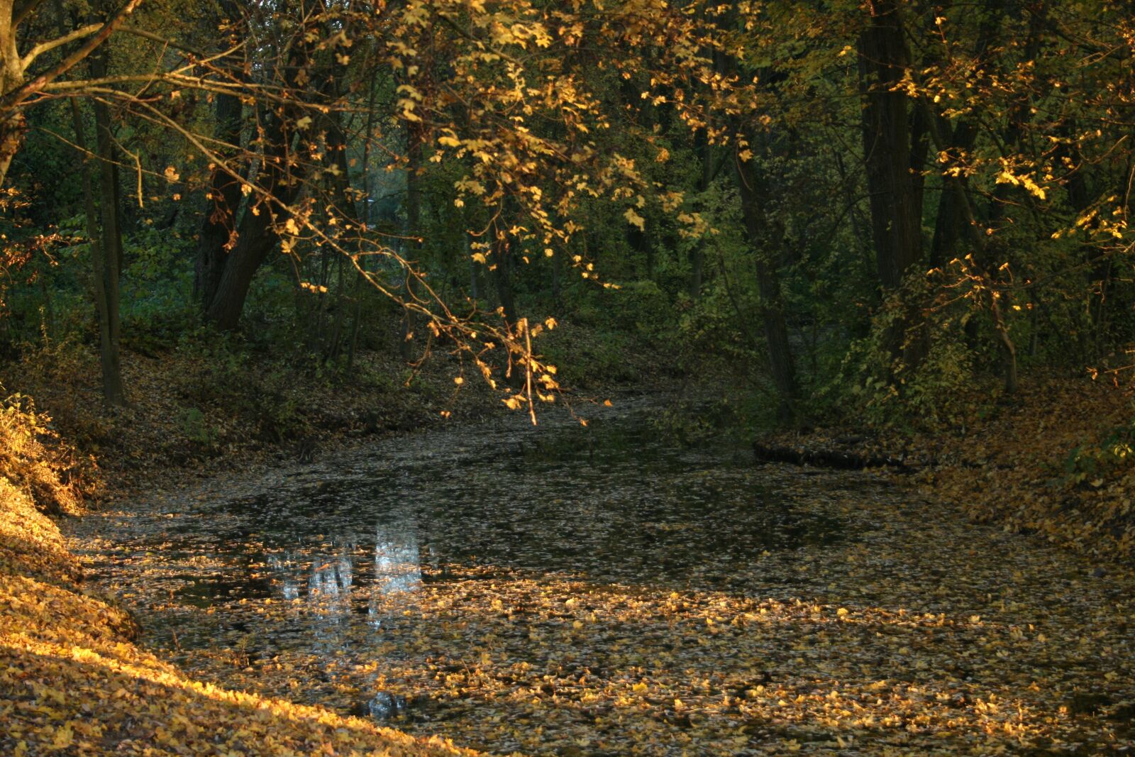 Canon EOS 400D (EOS Digital Rebel XTi / EOS Kiss Digital X) sample photo. Lake, leaves, autumn photography