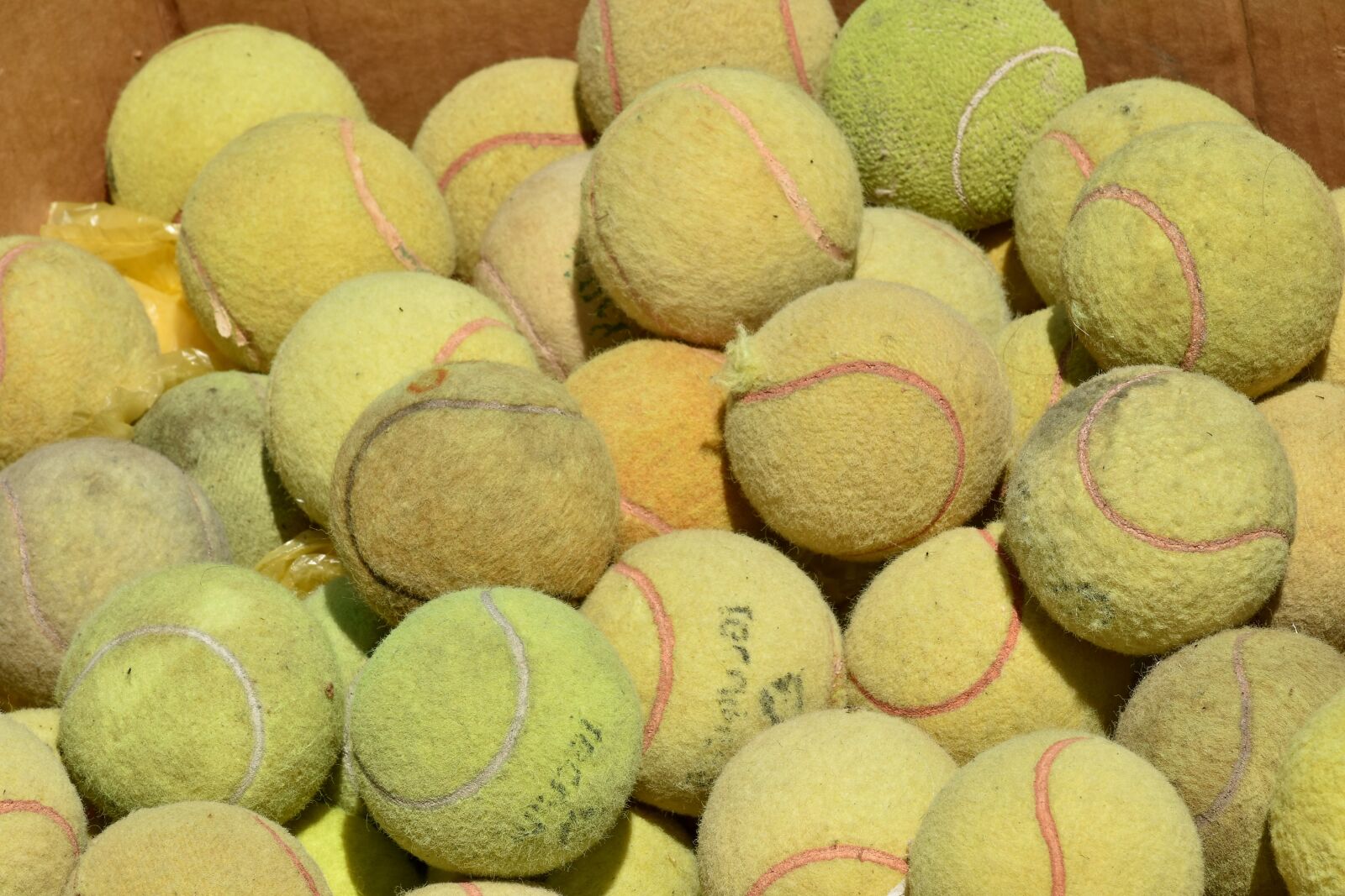 Nikon D5500 sample photo. Ball, box, carton, tennis photography