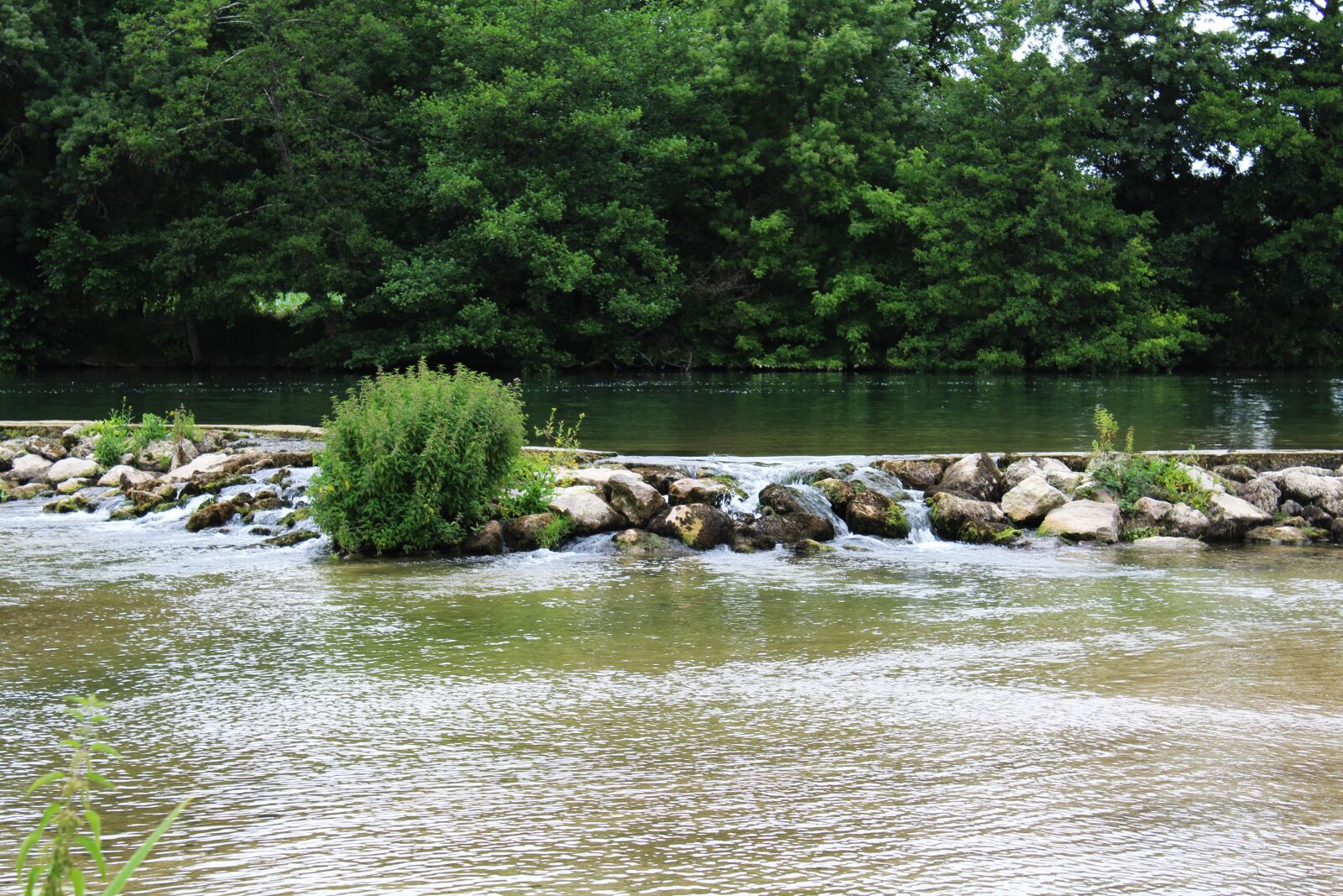 Canon EOS 1200D (EOS Rebel T5 / EOS Kiss X70 / EOS Hi) sample photo. Charente, river, nature photography