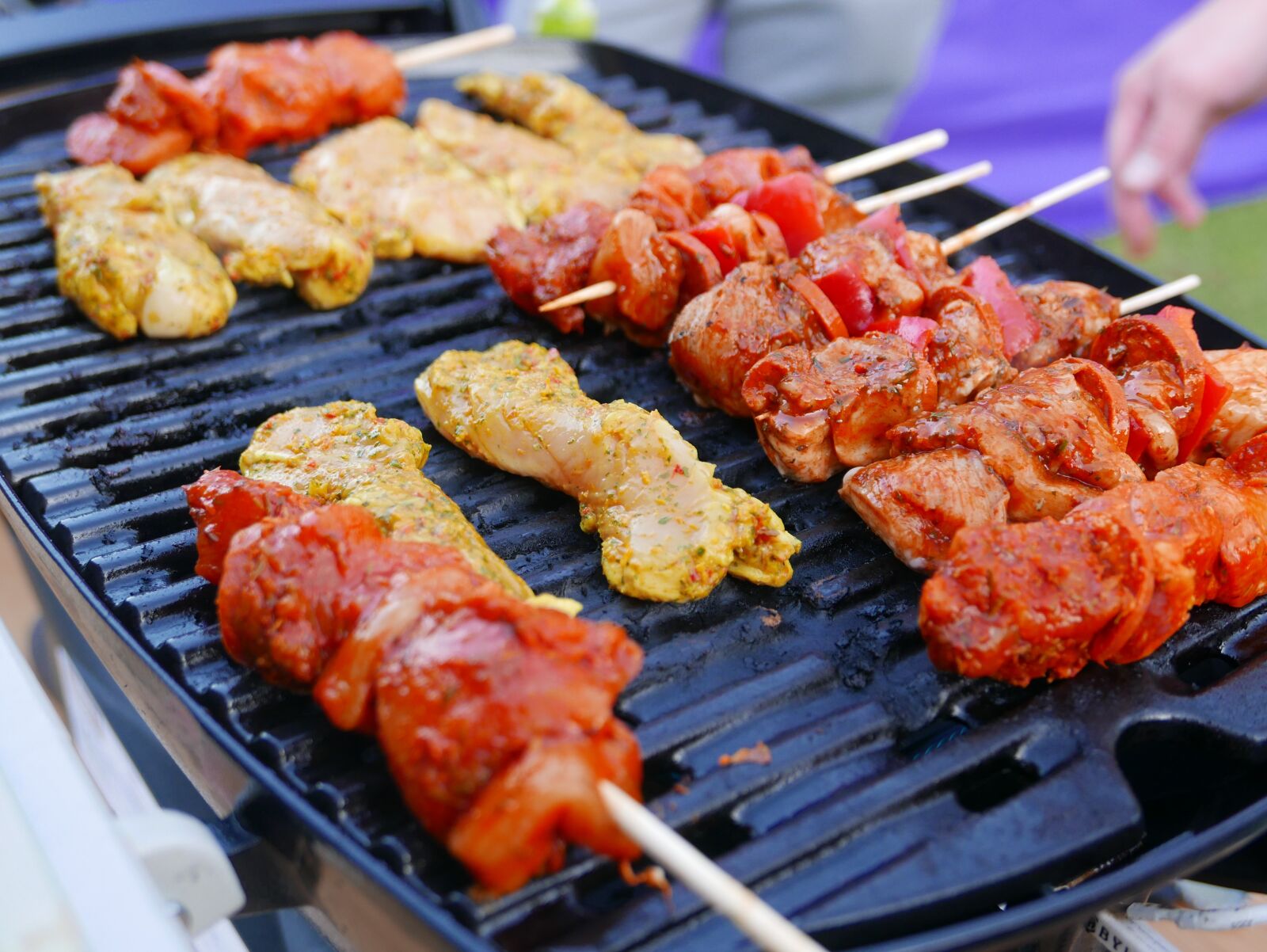 Panasonic Lumix DMC-LX100 sample photo. Grilled, chicken, barbecue photography